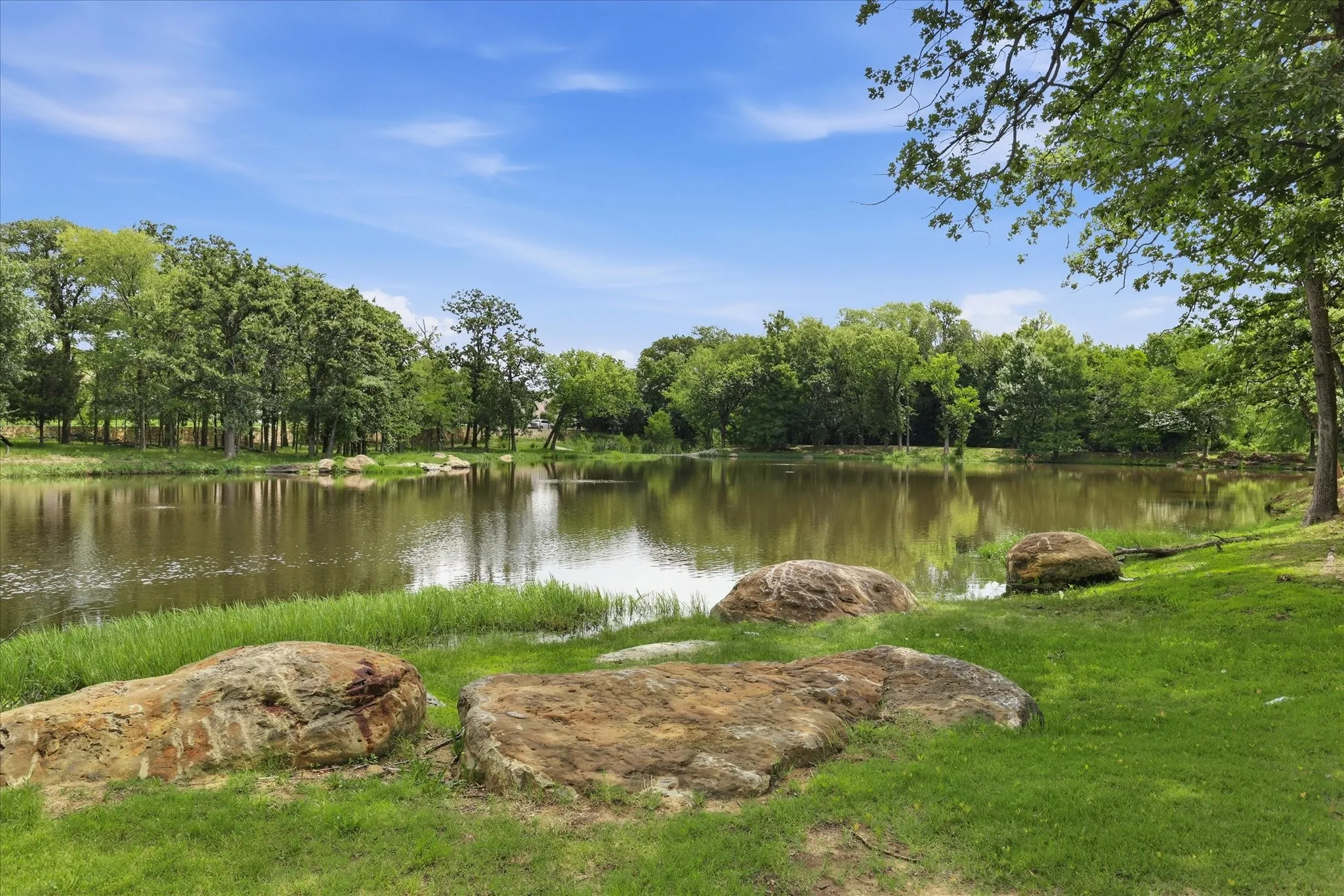 Expansive natural pond surrounded by lush green grass and mature trees
