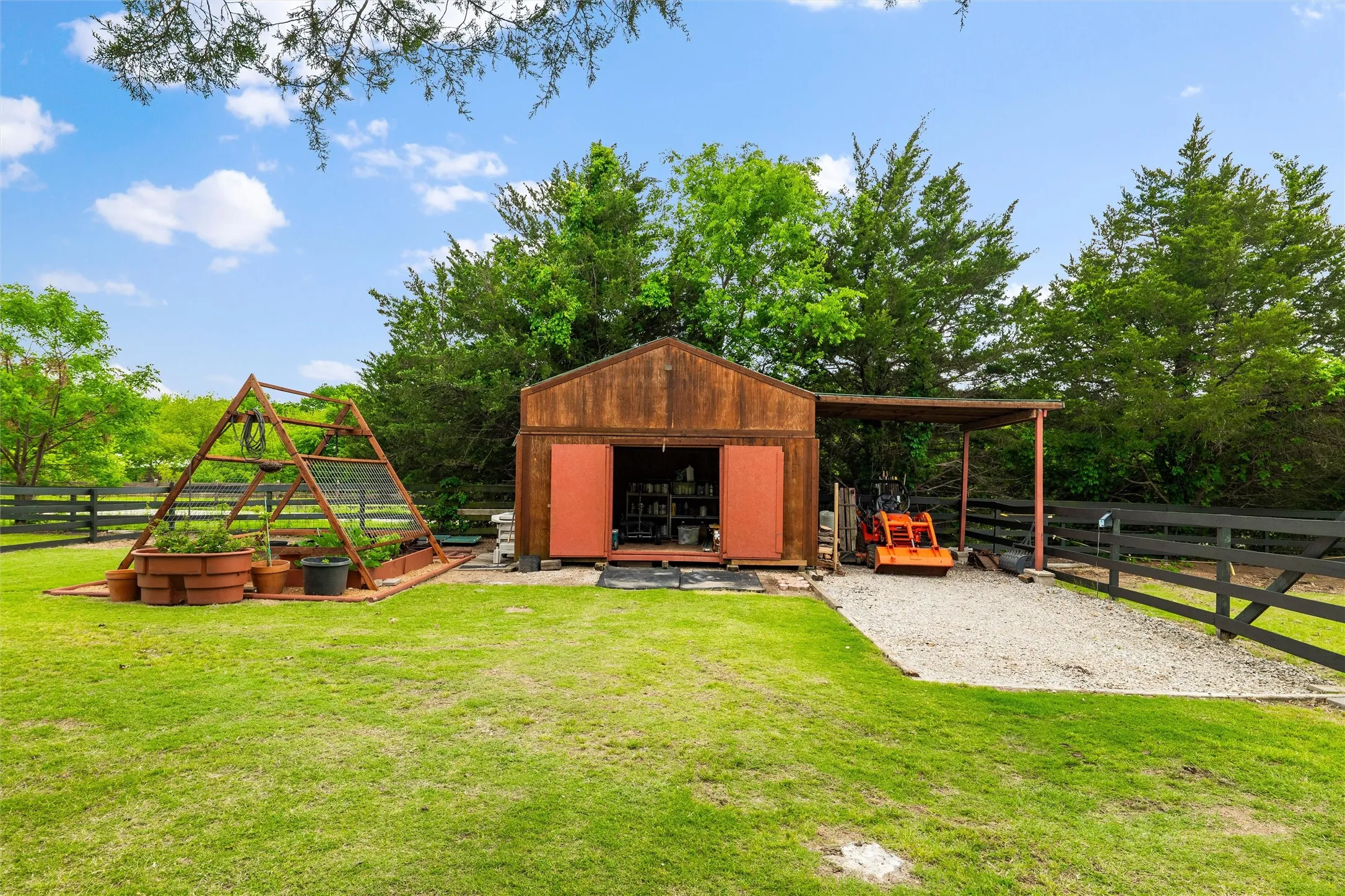 Shed and garden