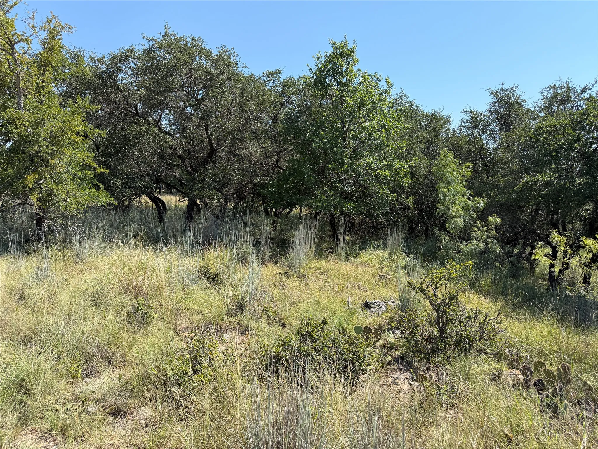 Unimproved Land For Sale in Brown County , TBD Lot 974 Lake Point Drive, May, Texas 76857, 0, 0, Garage spaces, 0 Sqft, built in 0, Price $17,000, mls#21349499, Real Estate Agent in May, Homes For Sale in Brown county, Homes For Sale in May, Realtor in May Texas, Real Estate Brokerage Independent Realty Texas, Luminita Cordes Realtor