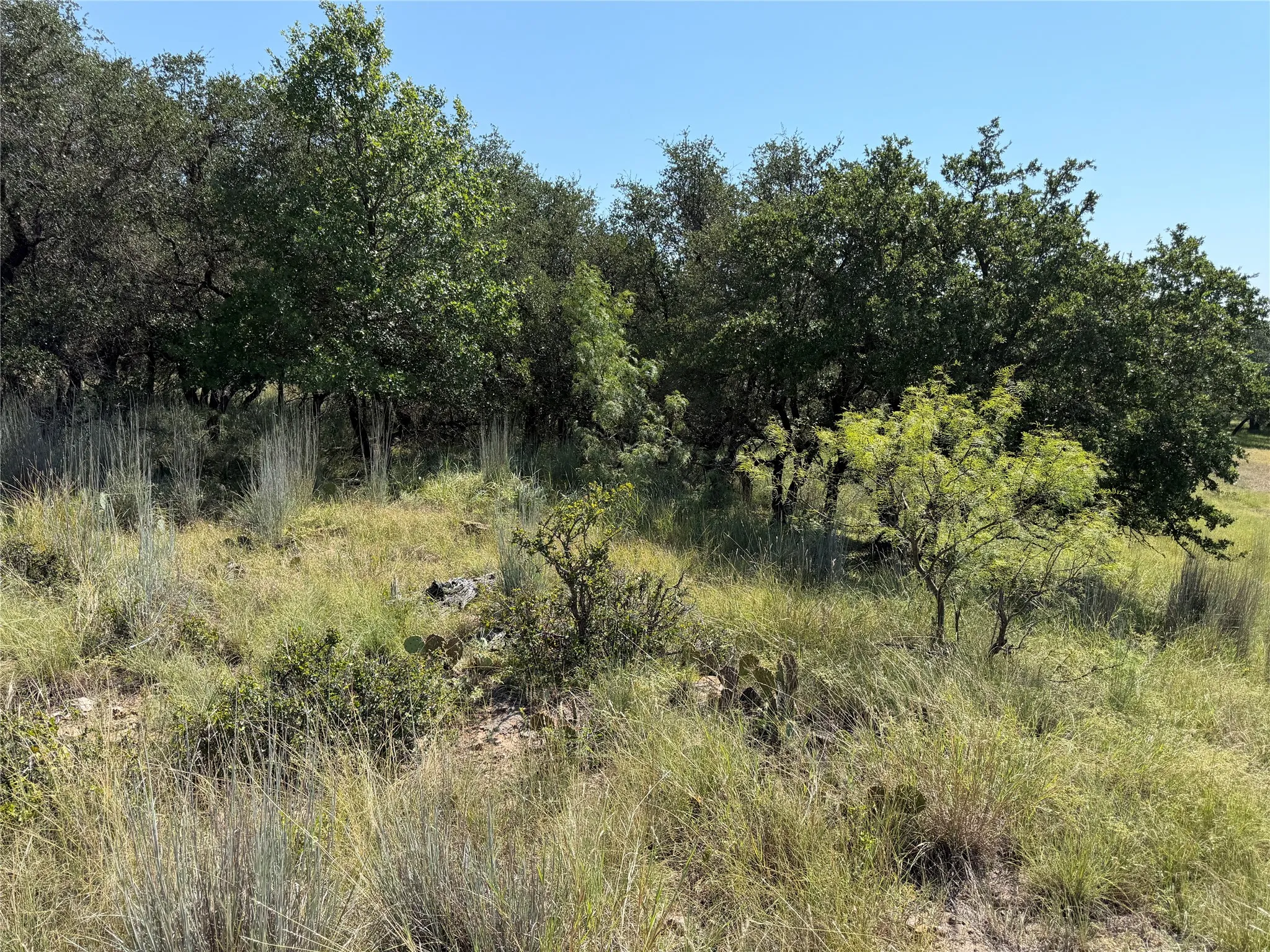 Unimproved Land For Sale in Brown County , TBD Lot 974 Lake Point Drive, May, Texas 76857, 0, 0, Garage spaces, 0 Sqft, built in 0, Price $17,000, mls#21349499, Real Estate Agent in May, Homes For Sale in Brown county, Homes For Sale in May, Realtor in May Texas, Real Estate Brokerage Independent Realty Texas, Luminita Cordes Realtor