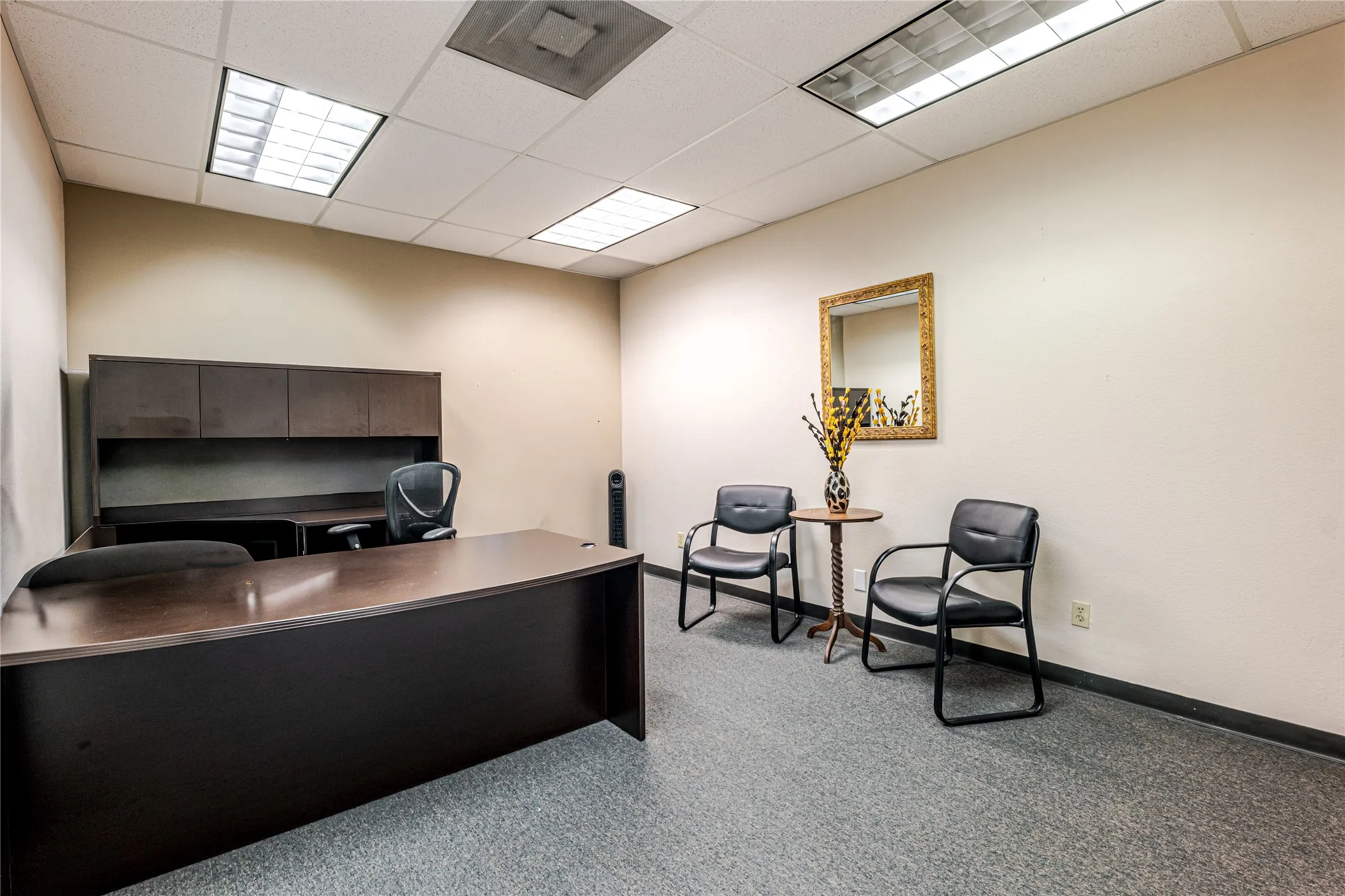 Spacious office room featuring grey carpet flooring and a drop ceiling with recessed fluorescent lighting