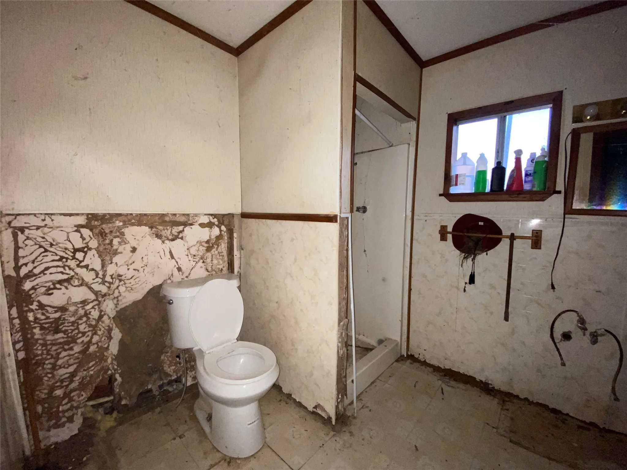 Bathroom with crown molding, a shower, and toilet