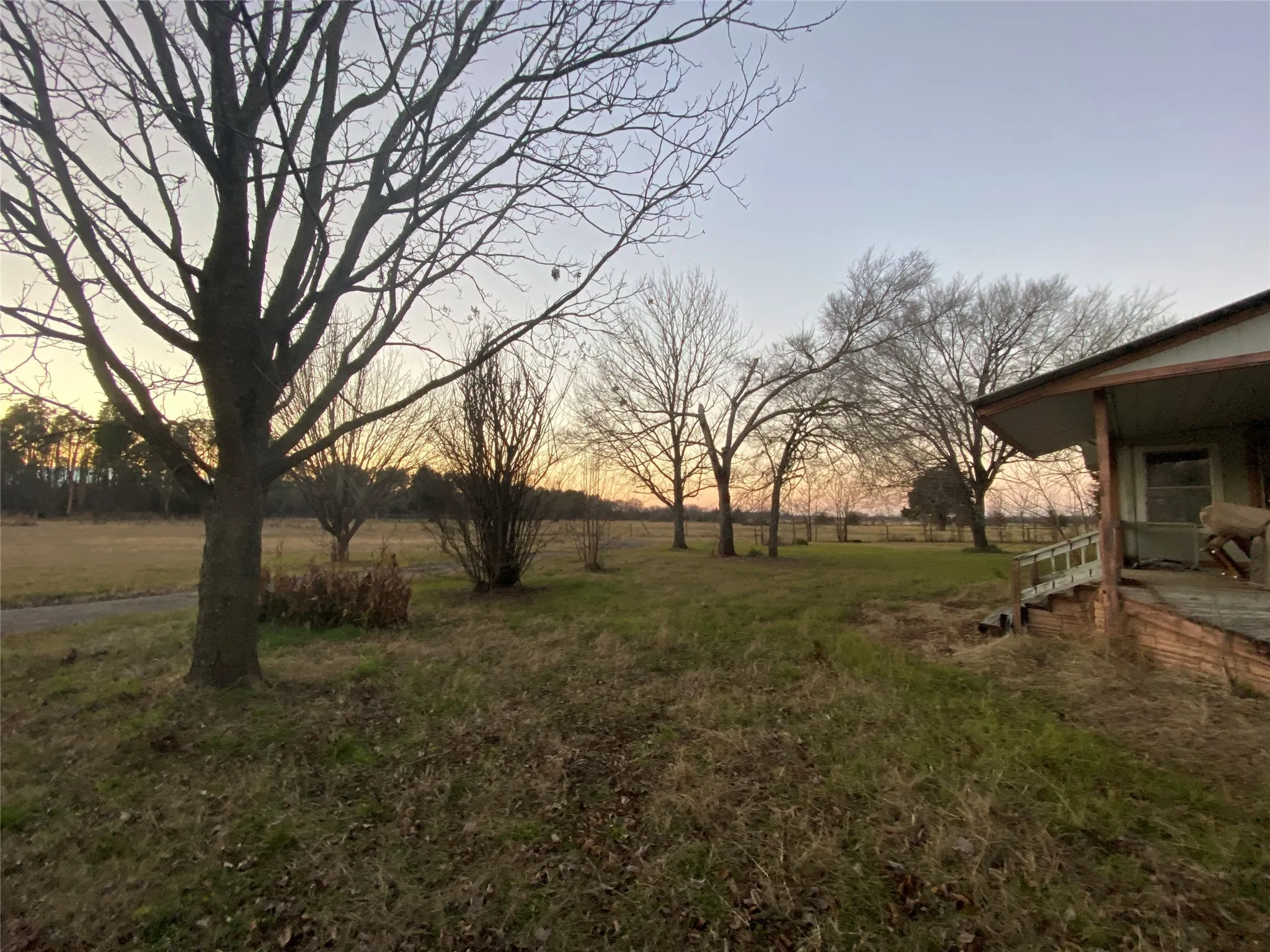 View of yard at dusk