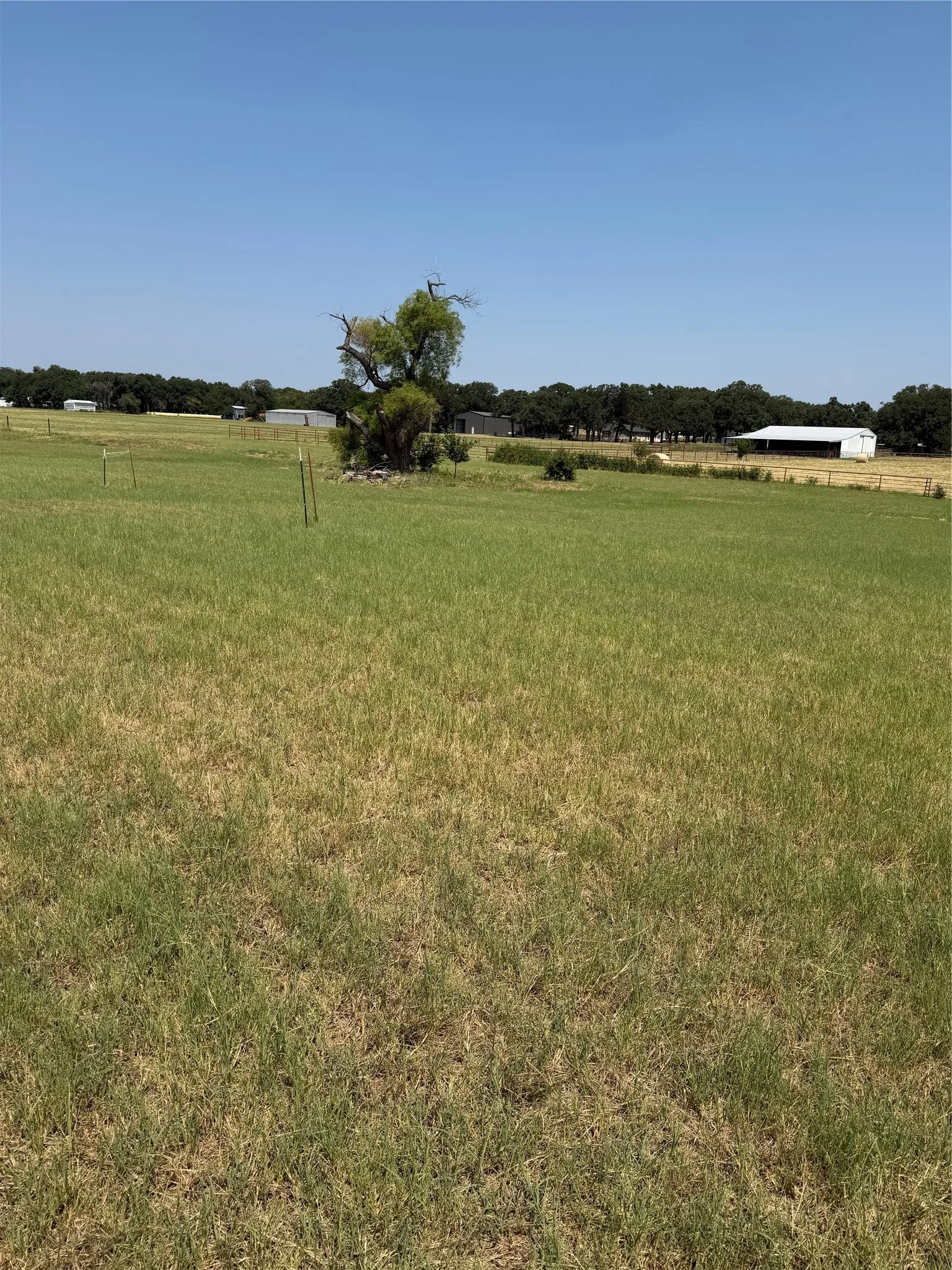 Improved Land For Sale in Wise County , 210 County Road 3340, Paradise, Texas 76073, 0, 0, Garage spaces, 0 Sqft, built in 0, Price $175,000, mls#21349588, Real Estate Agent in Paradise, Homes For Sale in Wise county, Homes For Sale in Paradise, Realtor in Paradise Texas, Real Estate Brokerage Independent Realty Texas, Luminita Cordes Realtor