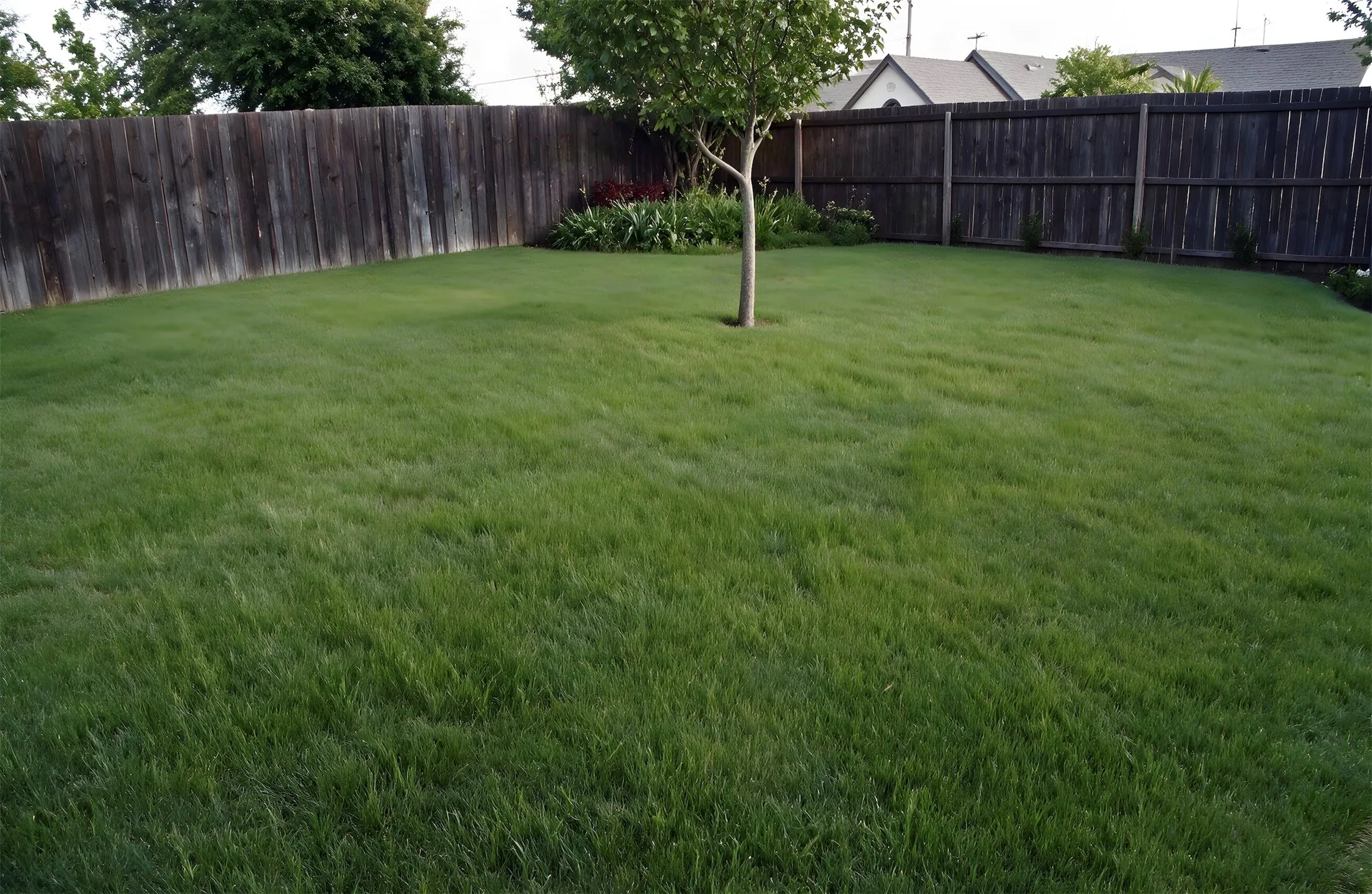 Single Family Residence For Rent in Collin County , 7513 Red Feather Trail, Mc Kinney, Texas 75070, 3 Bedroom, 2 Bathroom, 2 Garage spaces, 1,474 Sqft, built in 2006, mls#21349576, Real Estate Agent in Mc Kinney, Homes For Rent in Collin county, Homes For Rent in Mc Kinney, Realtor in Mc Kinney Texas, Real Estate Brokerage Independent Realty Texas, Luminita Cordes Realtor