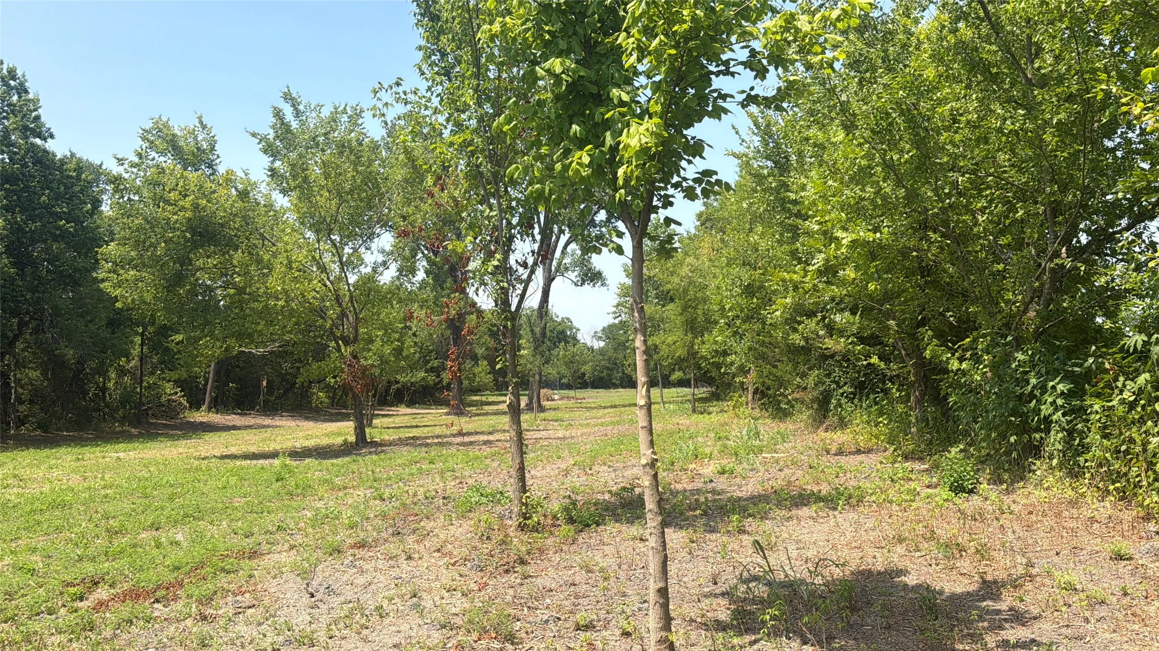 Improved Land For Sale in Grayson County , 0000 FM 902 Fm 902, Howe, Texas 75459, 0, 0, Garage spaces, 0 Sqft, built in 0, mls#21349627, Real Estate Agent in Howe, Homes For Sale in Grayson county, Homes For Sale in Howe, Realtor in Howe Texas, Real Estate Brokerage Independent Realty Texas, Luminita Cordes Realtor