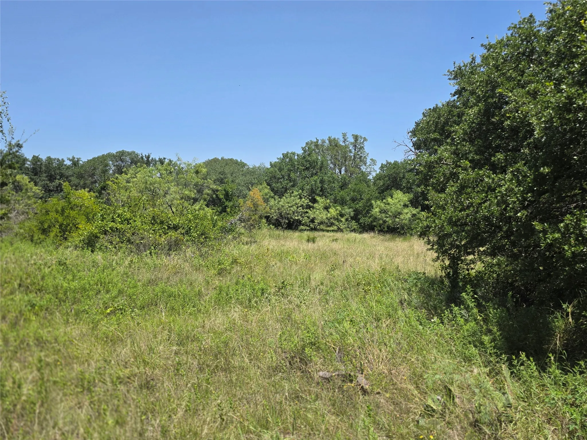 Ranch For Sale in Comanche County , 450 County Road 250, Gustine, Texas 76455, 0, 0, Garage spaces, 0 Sqft, built in 0, Price $674,685, mls#21349664, Real Estate Agent in Gustine, Homes For Sale in Comanche county, Homes For Sale in Gustine, Realtor in Gustine Texas, Real Estate Brokerage Independent Realty Texas, Luminita Cordes Realtor