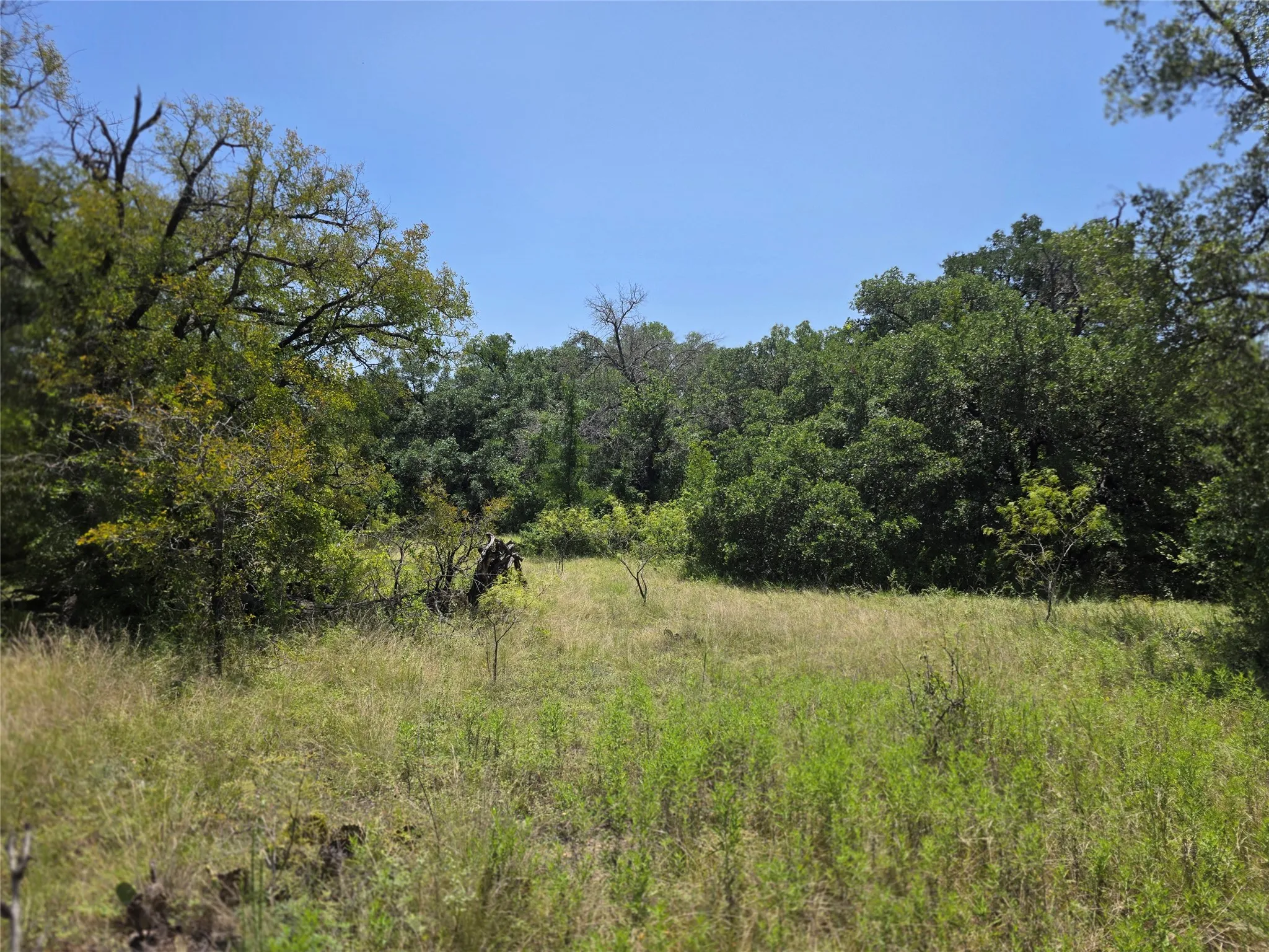 Ranch For Sale in Comanche County , 450 County Road 250, Gustine, Texas 76455, 0, 0, Garage spaces, 0 Sqft, built in 0, Price $674,685, mls#21349664, Real Estate Agent in Gustine, Homes For Sale in Comanche county, Homes For Sale in Gustine, Realtor in Gustine Texas, Real Estate Brokerage Independent Realty Texas, Luminita Cordes Realtor