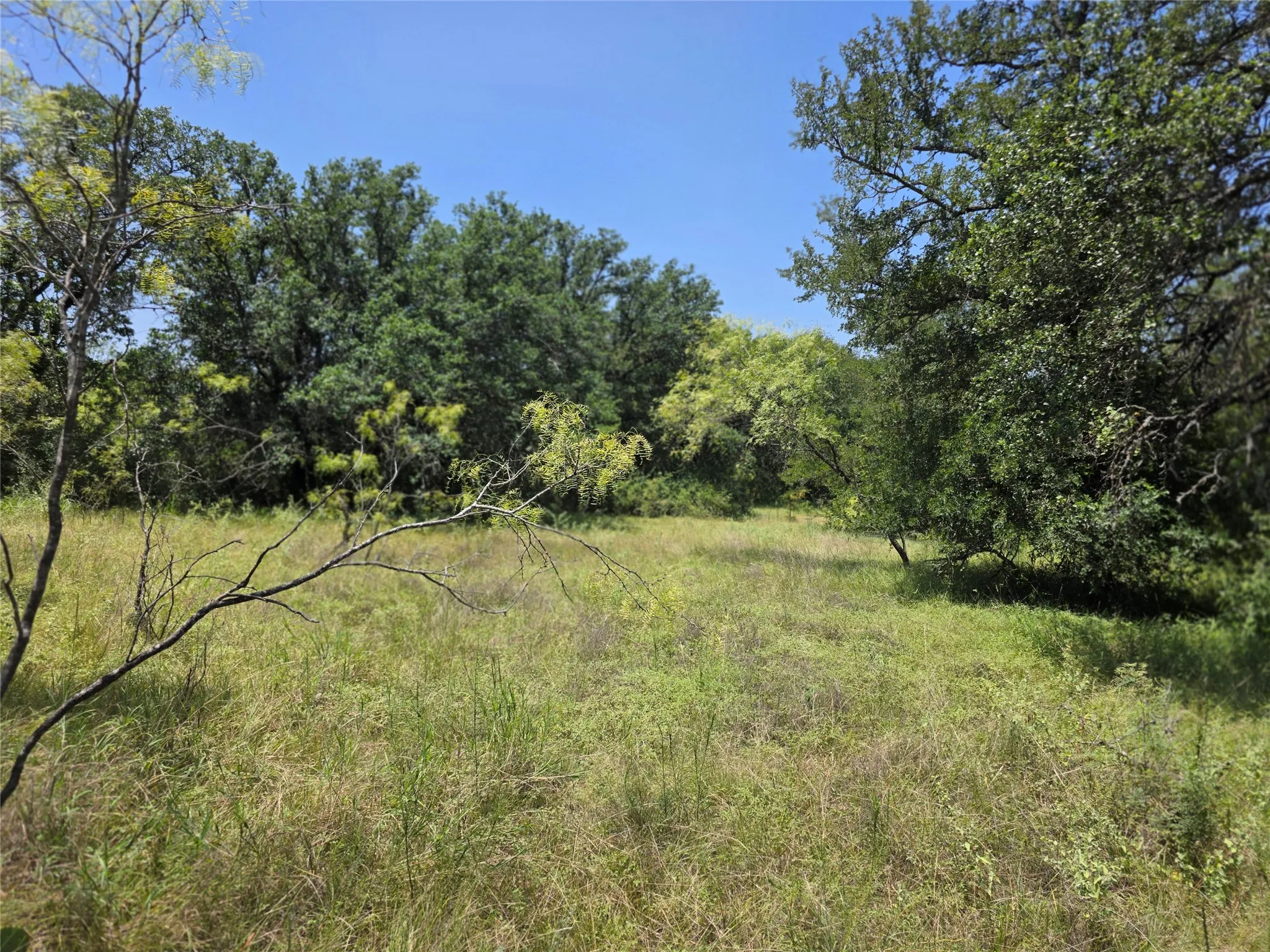 Ranch For Sale in Comanche County , 450 County Road 250, Gustine, Texas 76455, 0, 0, Garage spaces, 0 Sqft, built in 0, Price $674,685, mls#21349664, Real Estate Agent in Gustine, Homes For Sale in Comanche county, Homes For Sale in Gustine, Realtor in Gustine Texas, Real Estate Brokerage Independent Realty Texas, Luminita Cordes Realtor