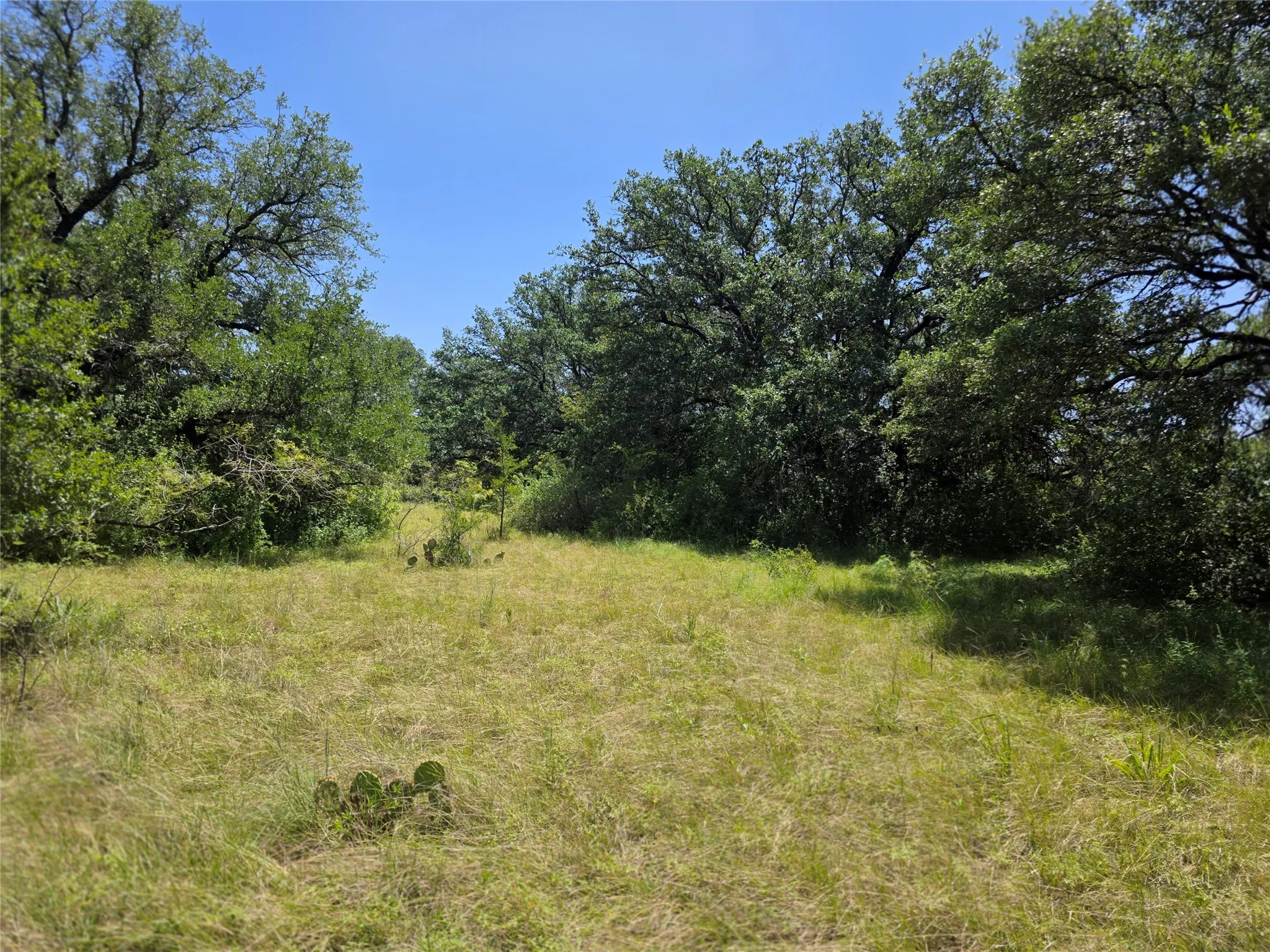 Ranch For Sale in Comanche County , 450 County Road 250, Gustine, Texas 76455, 0, 0, Garage spaces, 0 Sqft, built in 0, Price $674,685, mls#21349664, Real Estate Agent in Gustine, Homes For Sale in Comanche county, Homes For Sale in Gustine, Realtor in Gustine Texas, Real Estate Brokerage Independent Realty Texas, Luminita Cordes Realtor