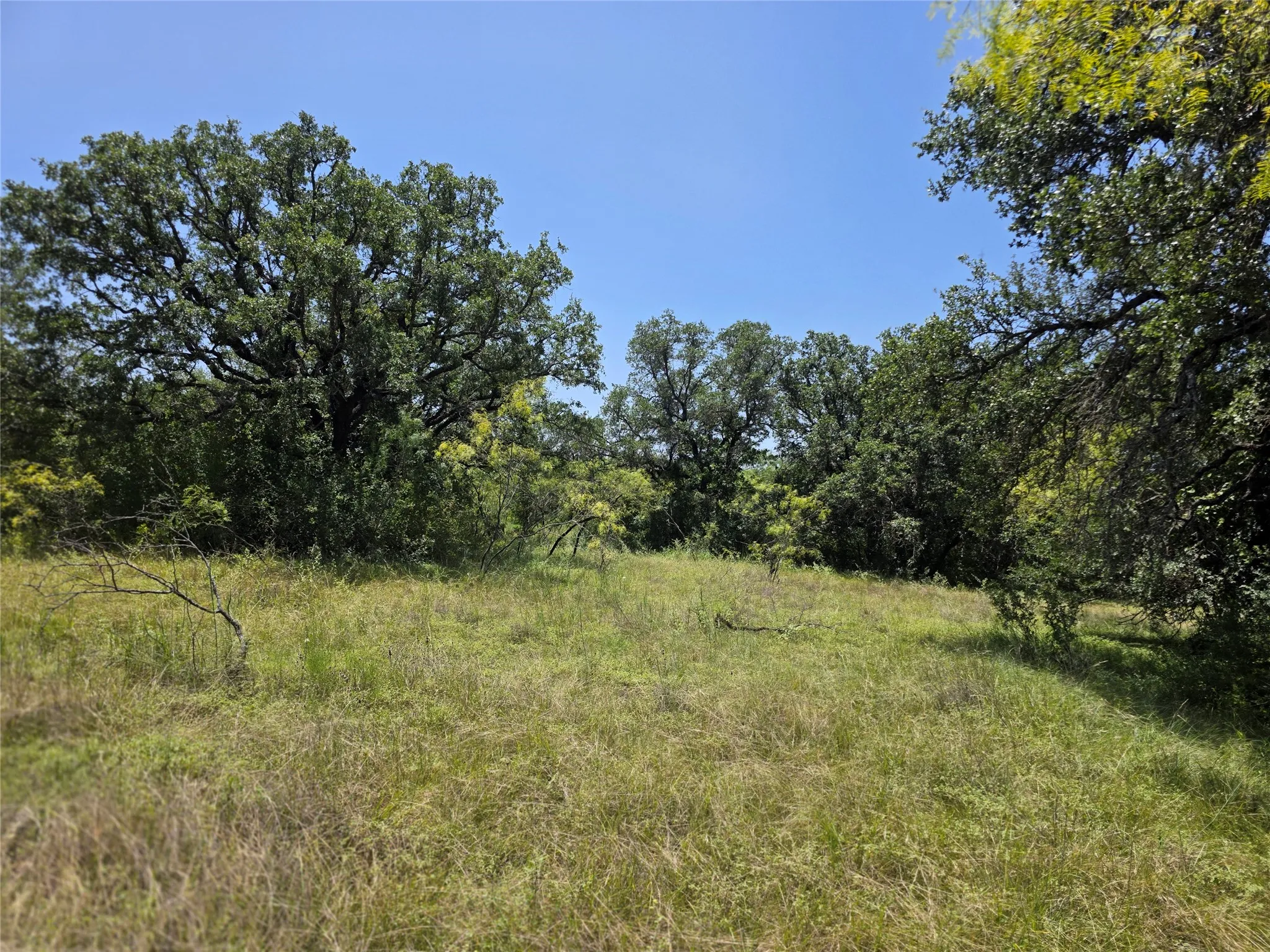 Ranch For Sale in Comanche County , 450 County Road 250, Gustine, Texas 76455, 0, 0, Garage spaces, 0 Sqft, built in 0, Price $674,685, mls#21349664, Real Estate Agent in Gustine, Homes For Sale in Comanche county, Homes For Sale in Gustine, Realtor in Gustine Texas, Real Estate Brokerage Independent Realty Texas, Luminita Cordes Realtor