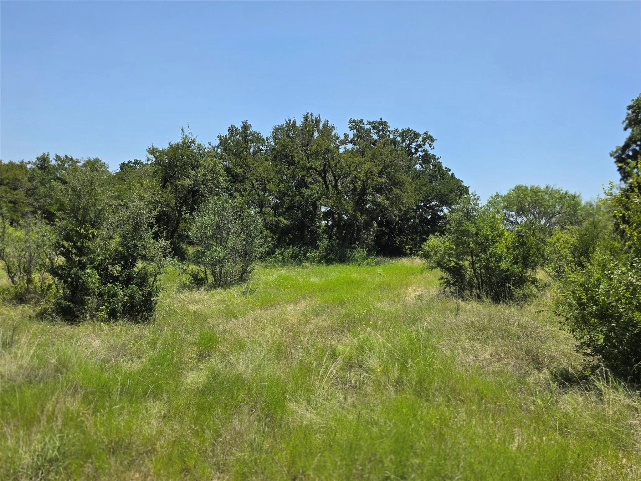 Ranch For Sale in Comanche County , 450 County Road 250, Gustine, Texas 76455, 0, 0, Garage spaces, 0 Sqft, built in 0, Price $674,685, mls#21349664, Real Estate Agent in Gustine, Homes For Sale in Comanche county, Homes For Sale in Gustine, Realtor in Gustine Texas, Real Estate Brokerage Independent Realty Texas, Luminita Cordes Realtor