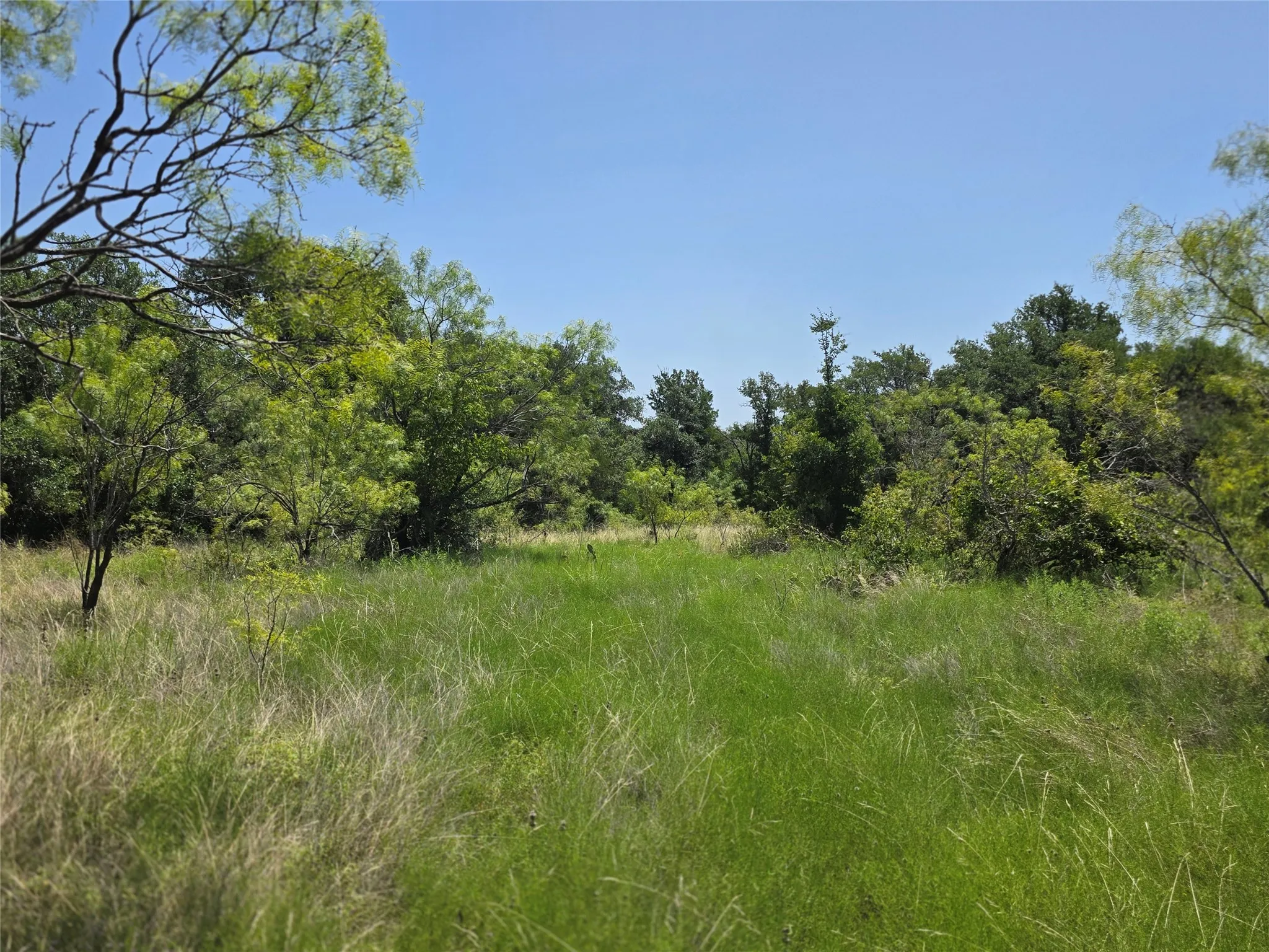 Ranch For Sale in Comanche County , 450 County Road 250, Gustine, Texas 76455, 0, 0, Garage spaces, 0 Sqft, built in 0, Price $674,685, mls#21349664, Real Estate Agent in Gustine, Homes For Sale in Comanche county, Homes For Sale in Gustine, Realtor in Gustine Texas, Real Estate Brokerage Independent Realty Texas, Luminita Cordes Realtor