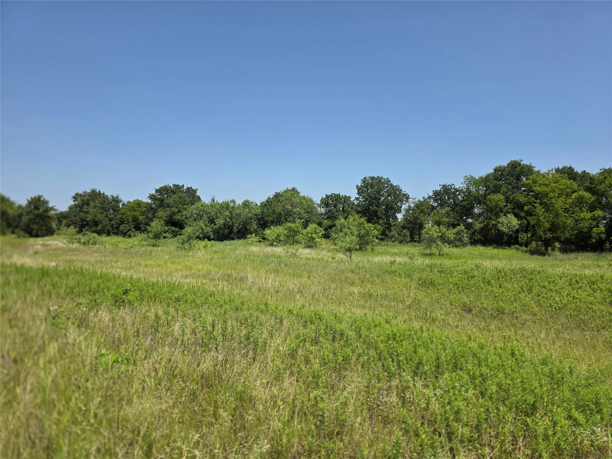 Ranch For Sale in Comanche County , 450 County Road 250, Gustine, Texas 76455, 0, 0, Garage spaces, 0 Sqft, built in 0, Price $674,685, mls#21349664, Real Estate Agent in Gustine, Homes For Sale in Comanche county, Homes For Sale in Gustine, Realtor in Gustine Texas, Real Estate Brokerage Independent Realty Texas, Luminita Cordes Realtor