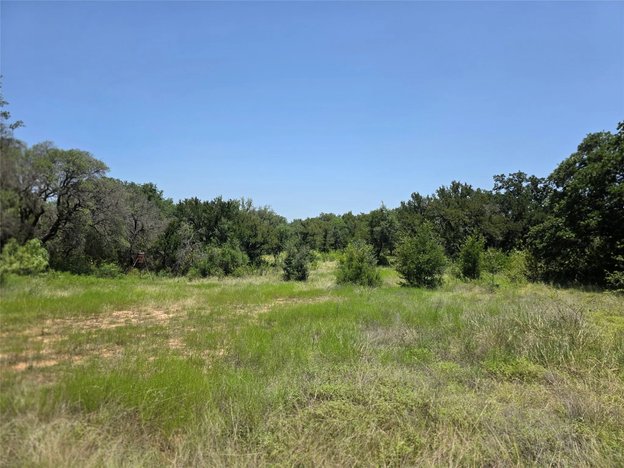 Ranch For Sale in Comanche County , 450 County Road 250, Gustine, Texas 76455, 0, 0, Garage spaces, 0 Sqft, built in 0, Price $674,685, mls#21349664, Real Estate Agent in Gustine, Homes For Sale in Comanche county, Homes For Sale in Gustine, Realtor in Gustine Texas, Real Estate Brokerage Independent Realty Texas, Luminita Cordes Realtor