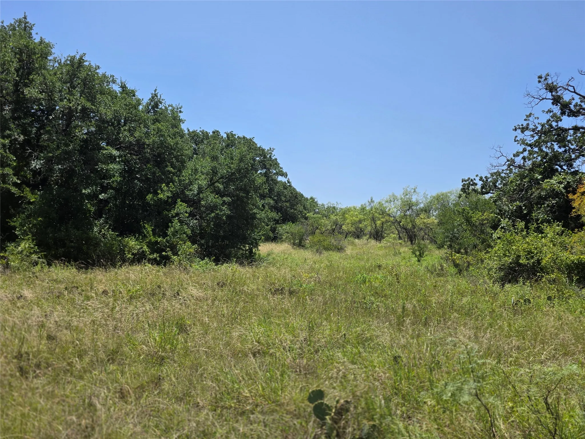 Ranch For Sale in Comanche County , 450 County Road 250, Gustine, Texas 76455, 0, 0, Garage spaces, 0 Sqft, built in 0, Price $674,685, mls#21349664, Real Estate Agent in Gustine, Homes For Sale in Comanche county, Homes For Sale in Gustine, Realtor in Gustine Texas, Real Estate Brokerage Independent Realty Texas, Luminita Cordes Realtor