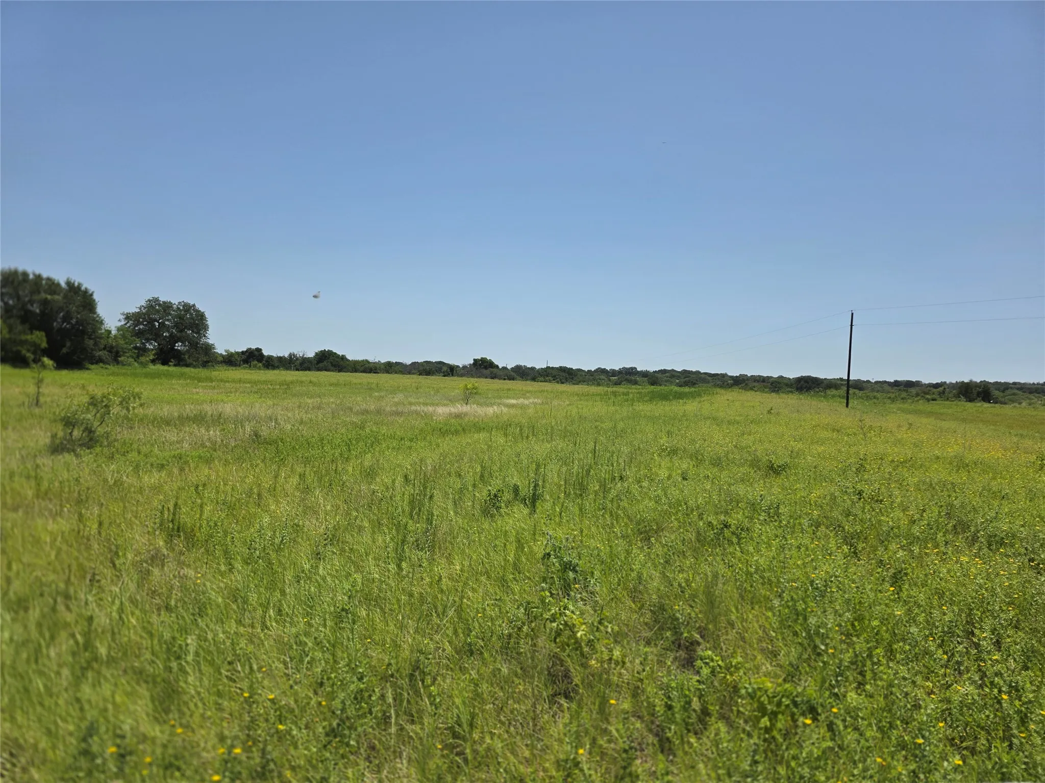 Ranch For Sale in Comanche County , 450 County Road 250, Gustine, Texas 76455, 0, 0, Garage spaces, 0 Sqft, built in 0, Price $674,685, mls#21349664, Real Estate Agent in Gustine, Homes For Sale in Comanche county, Homes For Sale in Gustine, Realtor in Gustine Texas, Real Estate Brokerage Independent Realty Texas, Luminita Cordes Realtor