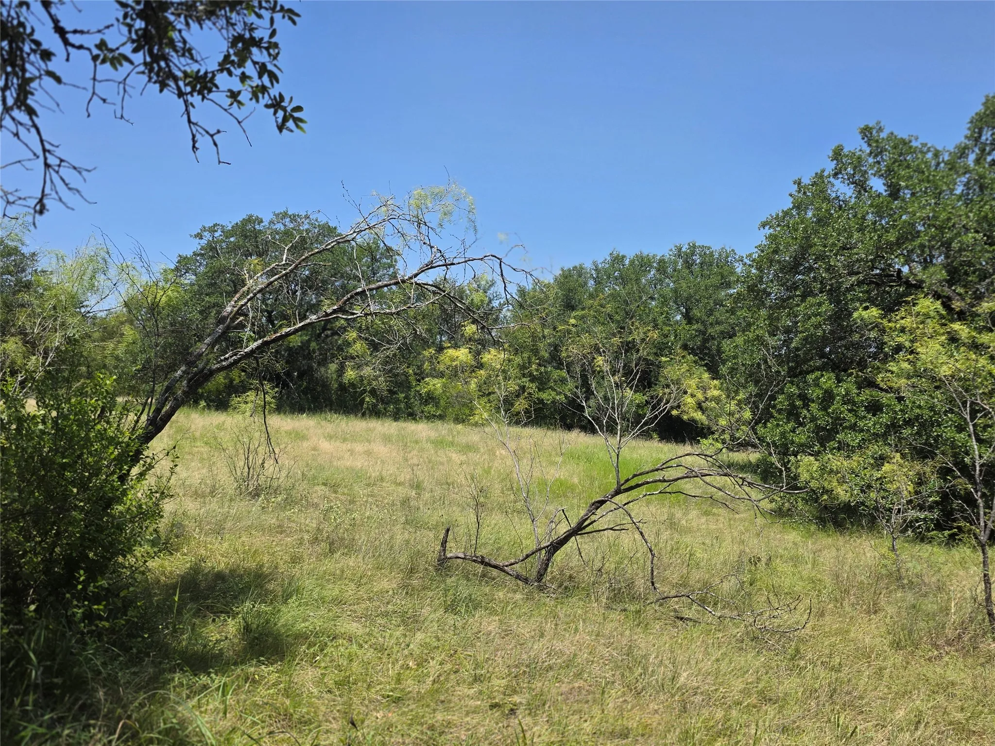 Ranch For Sale in Comanche County , 450 County Road 250, Gustine, Texas 76455, 0, 0, Garage spaces, 0 Sqft, built in 0, Price $674,685, mls#21349664, Real Estate Agent in Gustine, Homes For Sale in Comanche county, Homes For Sale in Gustine, Realtor in Gustine Texas, Real Estate Brokerage Independent Realty Texas, Luminita Cordes Realtor