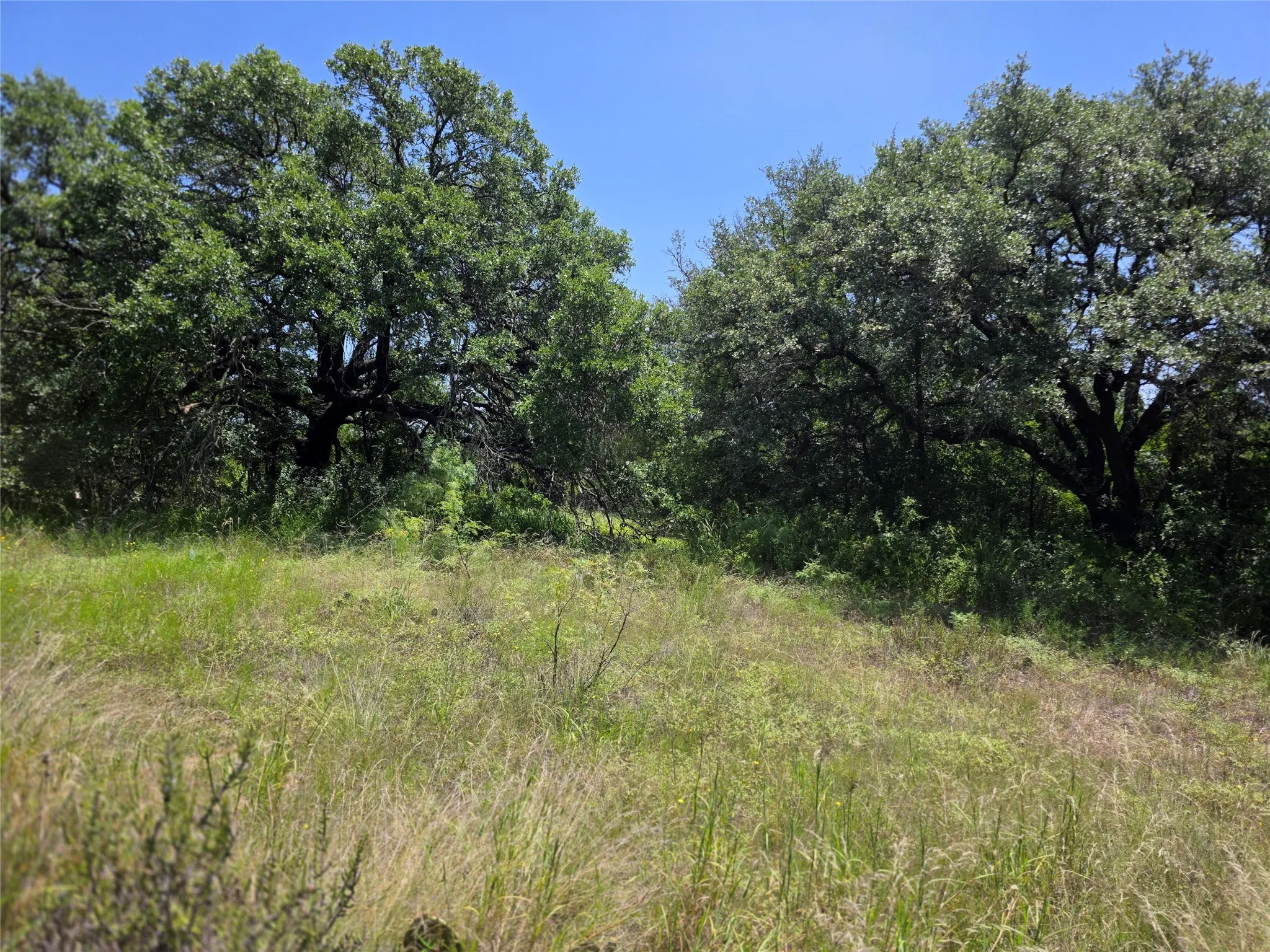Ranch For Sale in Comanche County , 450 County Road 250, Gustine, Texas 76455, 0, 0, Garage spaces, 0 Sqft, built in 0, Price $674,685, mls#21349664, Real Estate Agent in Gustine, Homes For Sale in Comanche county, Homes For Sale in Gustine, Realtor in Gustine Texas, Real Estate Brokerage Independent Realty Texas, Luminita Cordes Realtor