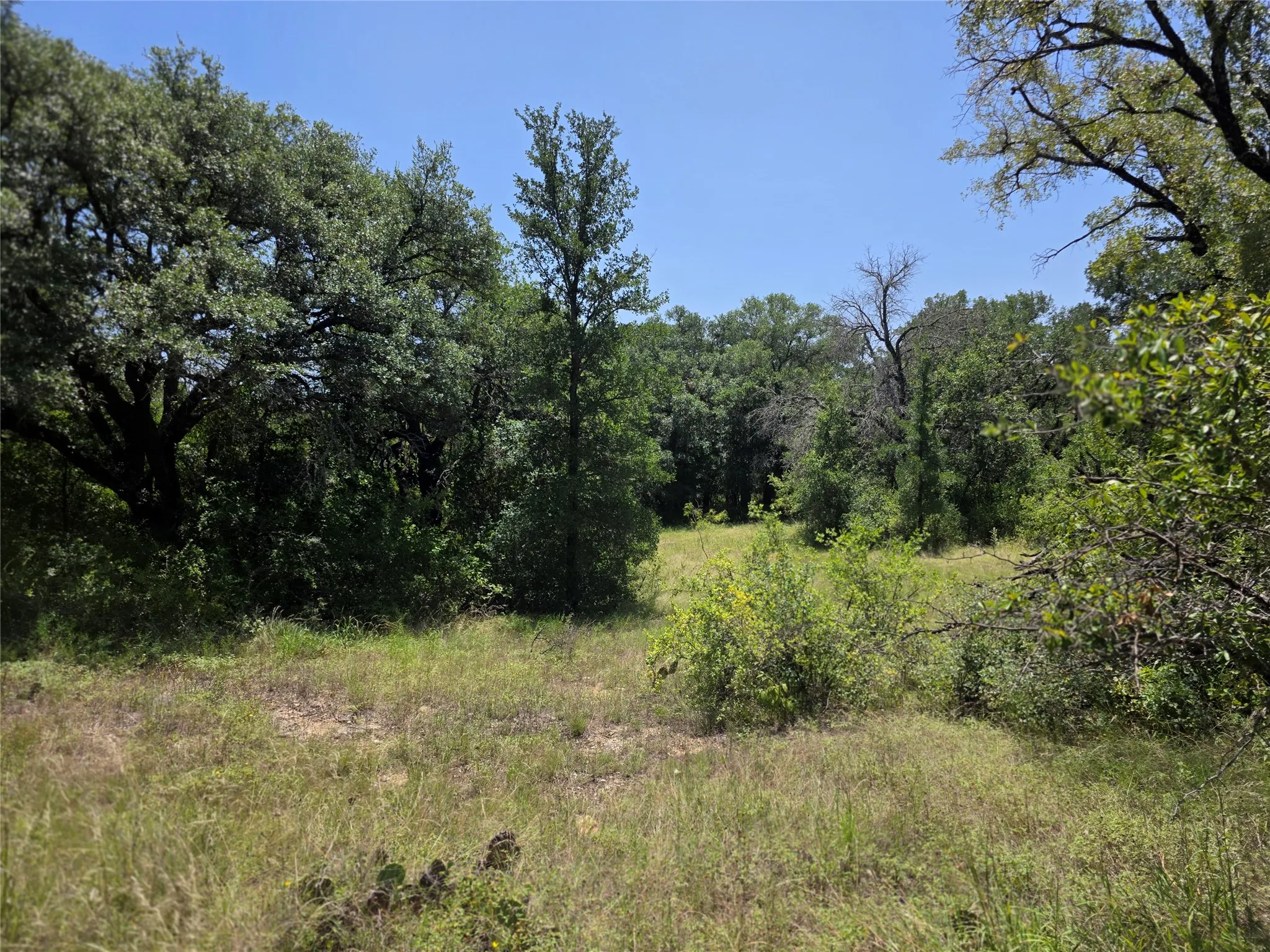 Ranch For Sale in Comanche County , 450 County Road 250, Gustine, Texas 76455, 0, 0, Garage spaces, 0 Sqft, built in 0, Price $674,685, mls#21349664, Real Estate Agent in Gustine, Homes For Sale in Comanche county, Homes For Sale in Gustine, Realtor in Gustine Texas, Real Estate Brokerage Independent Realty Texas, Luminita Cordes Realtor