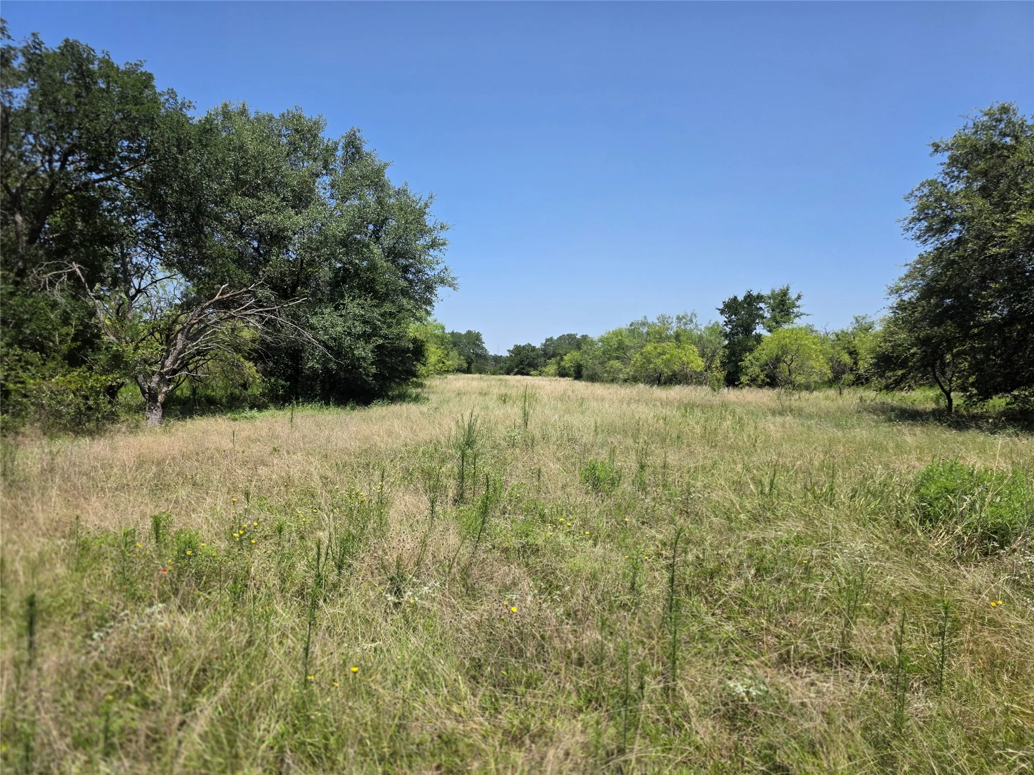 Ranch For Sale in Comanche County , 450 County Road 250, Gustine, Texas 76455, 0, 0, Garage spaces, 0 Sqft, built in 0, Price $674,685, mls#21349664, Real Estate Agent in Gustine, Homes For Sale in Comanche county, Homes For Sale in Gustine, Realtor in Gustine Texas, Real Estate Brokerage Independent Realty Texas, Luminita Cordes Realtor