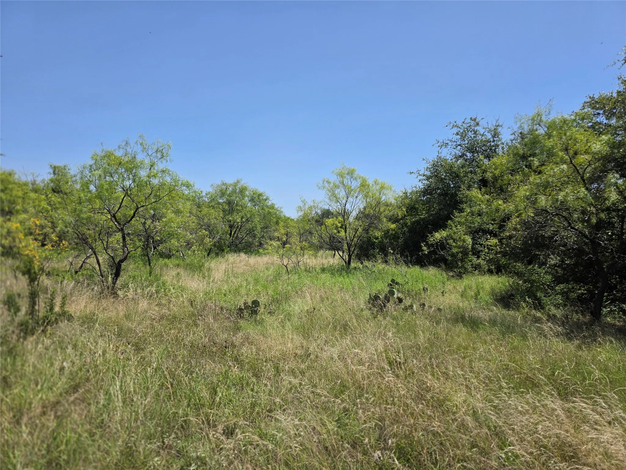 Ranch For Sale in Comanche County , 450 County Road 250, Gustine, Texas 76455, 0, 0, Garage spaces, 0 Sqft, built in 0, Price $674,685, mls#21349664, Real Estate Agent in Gustine, Homes For Sale in Comanche county, Homes For Sale in Gustine, Realtor in Gustine Texas, Real Estate Brokerage Independent Realty Texas, Luminita Cordes Realtor