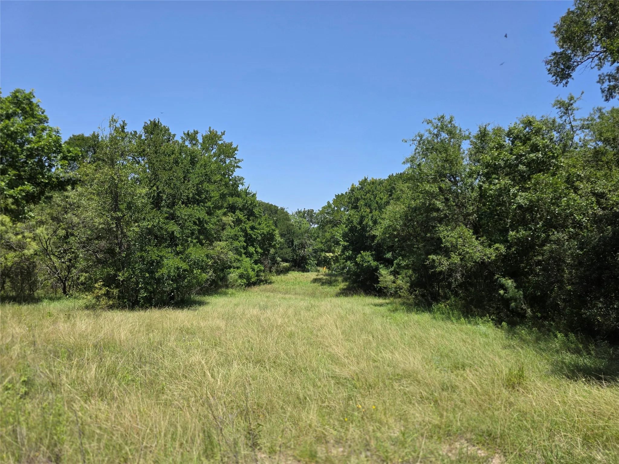 Ranch For Sale in Comanche County , 450 County Road 250, Gustine, Texas 76455, 0, 0, Garage spaces, 0 Sqft, built in 0, Price $674,685, mls#21349664, Real Estate Agent in Gustine, Homes For Sale in Comanche county, Homes For Sale in Gustine, Realtor in Gustine Texas, Real Estate Brokerage Independent Realty Texas, Luminita Cordes Realtor