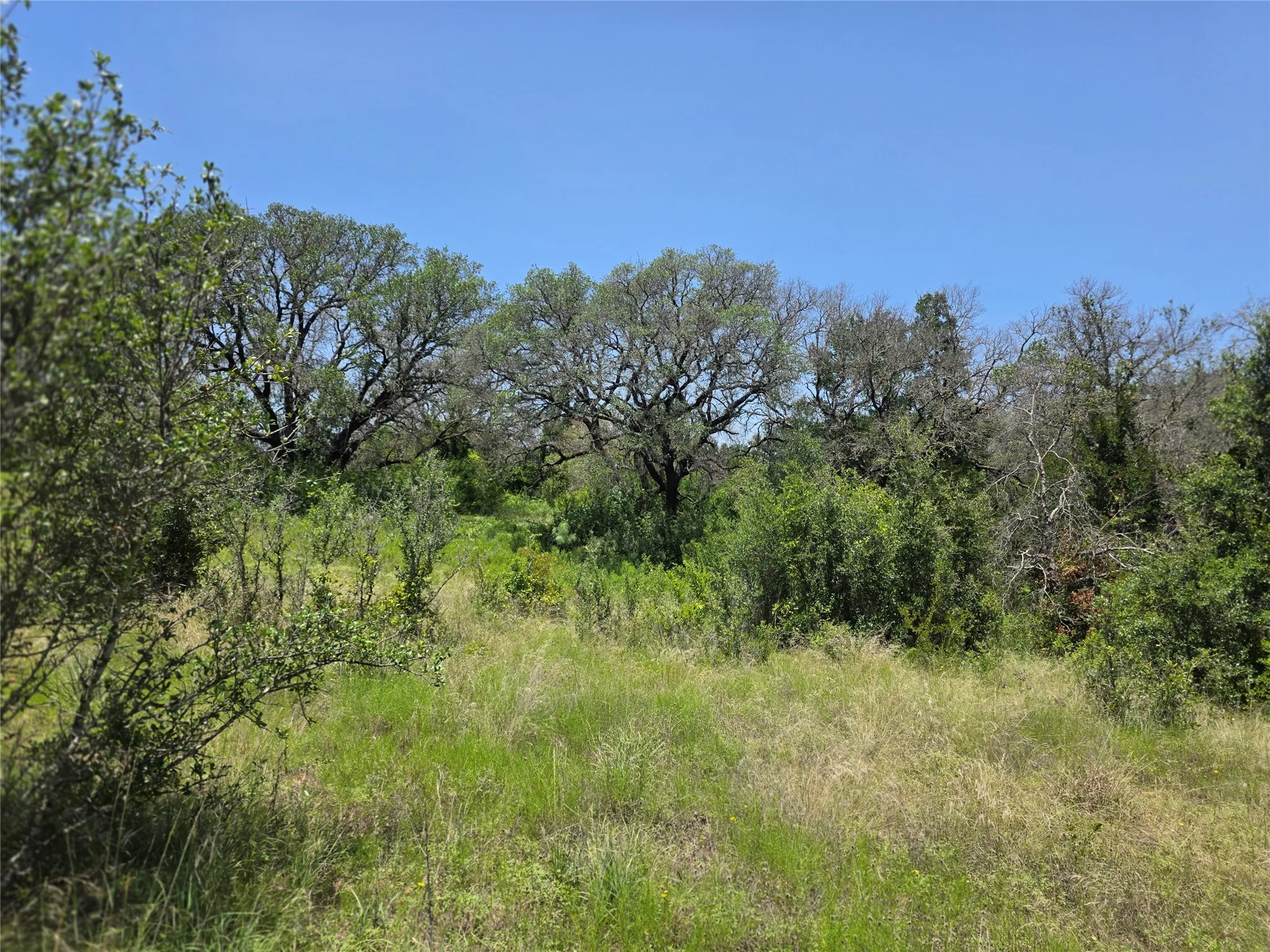 Ranch For Sale in Comanche County , 450 County Road 250, Gustine, Texas 76455, 0, 0, Garage spaces, 0 Sqft, built in 0, Price $674,685, mls#21349664, Real Estate Agent in Gustine, Homes For Sale in Comanche county, Homes For Sale in Gustine, Realtor in Gustine Texas, Real Estate Brokerage Independent Realty Texas, Luminita Cordes Realtor
