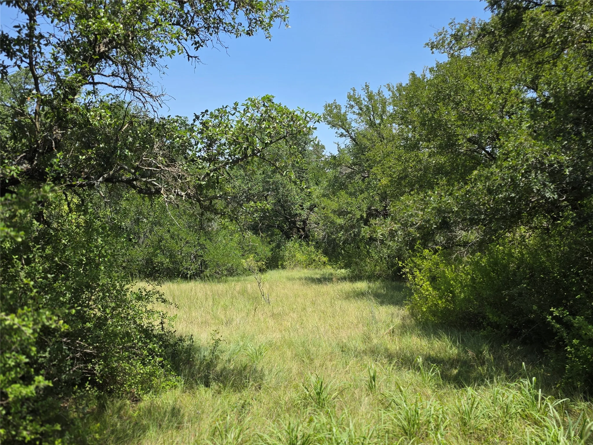 Ranch For Sale in Comanche County , 450 County Road 250, Gustine, Texas 76455, 0, 0, Garage spaces, 0 Sqft, built in 0, Price $674,685, mls#21349664, Real Estate Agent in Gustine, Homes For Sale in Comanche county, Homes For Sale in Gustine, Realtor in Gustine Texas, Real Estate Brokerage Independent Realty Texas, Luminita Cordes Realtor