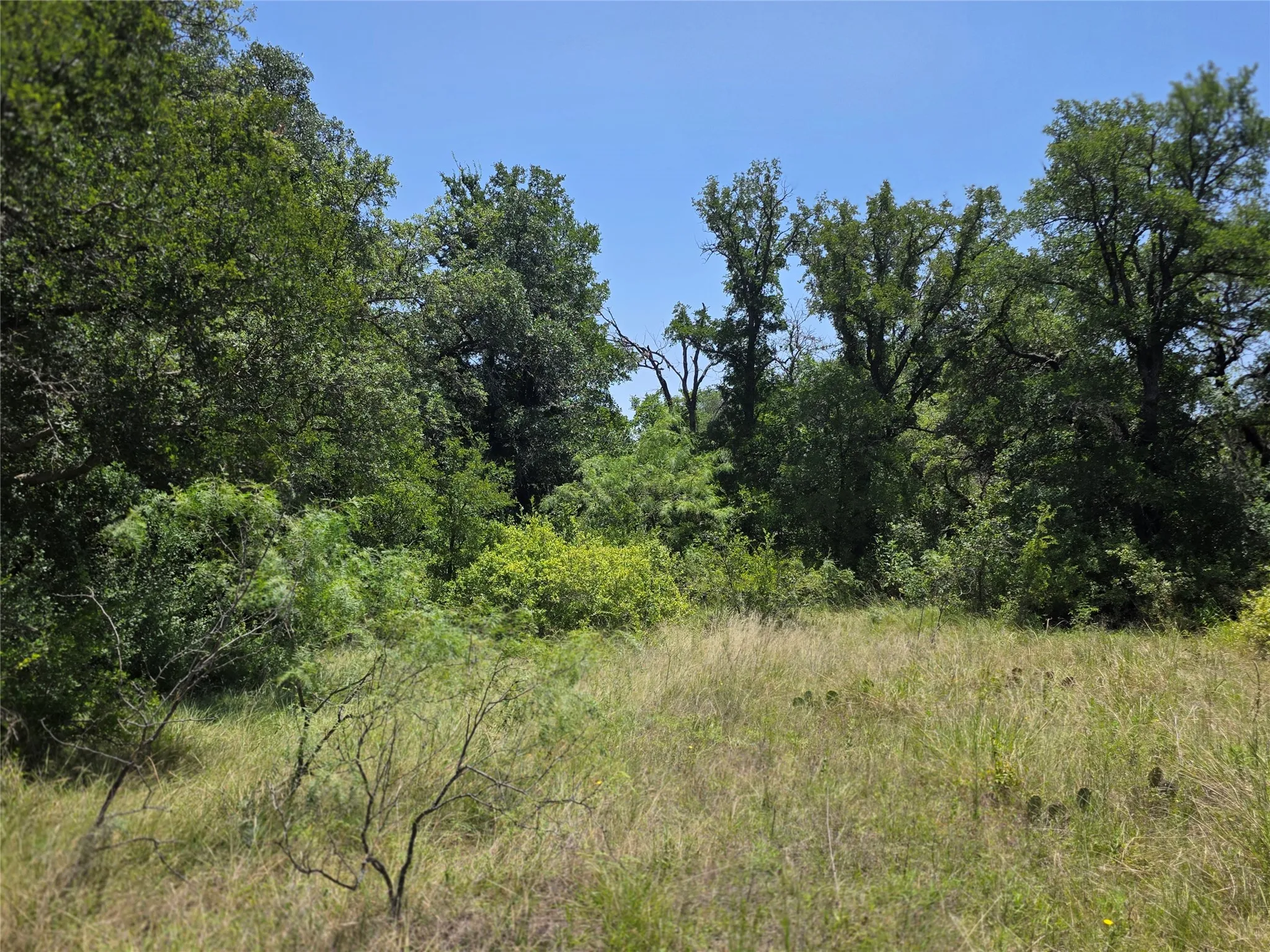 Ranch For Sale in Comanche County , 450 County Road 250, Gustine, Texas 76455, 0, 0, Garage spaces, 0 Sqft, built in 0, Price $674,685, mls#21349664, Real Estate Agent in Gustine, Homes For Sale in Comanche county, Homes For Sale in Gustine, Realtor in Gustine Texas, Real Estate Brokerage Independent Realty Texas, Luminita Cordes Realtor