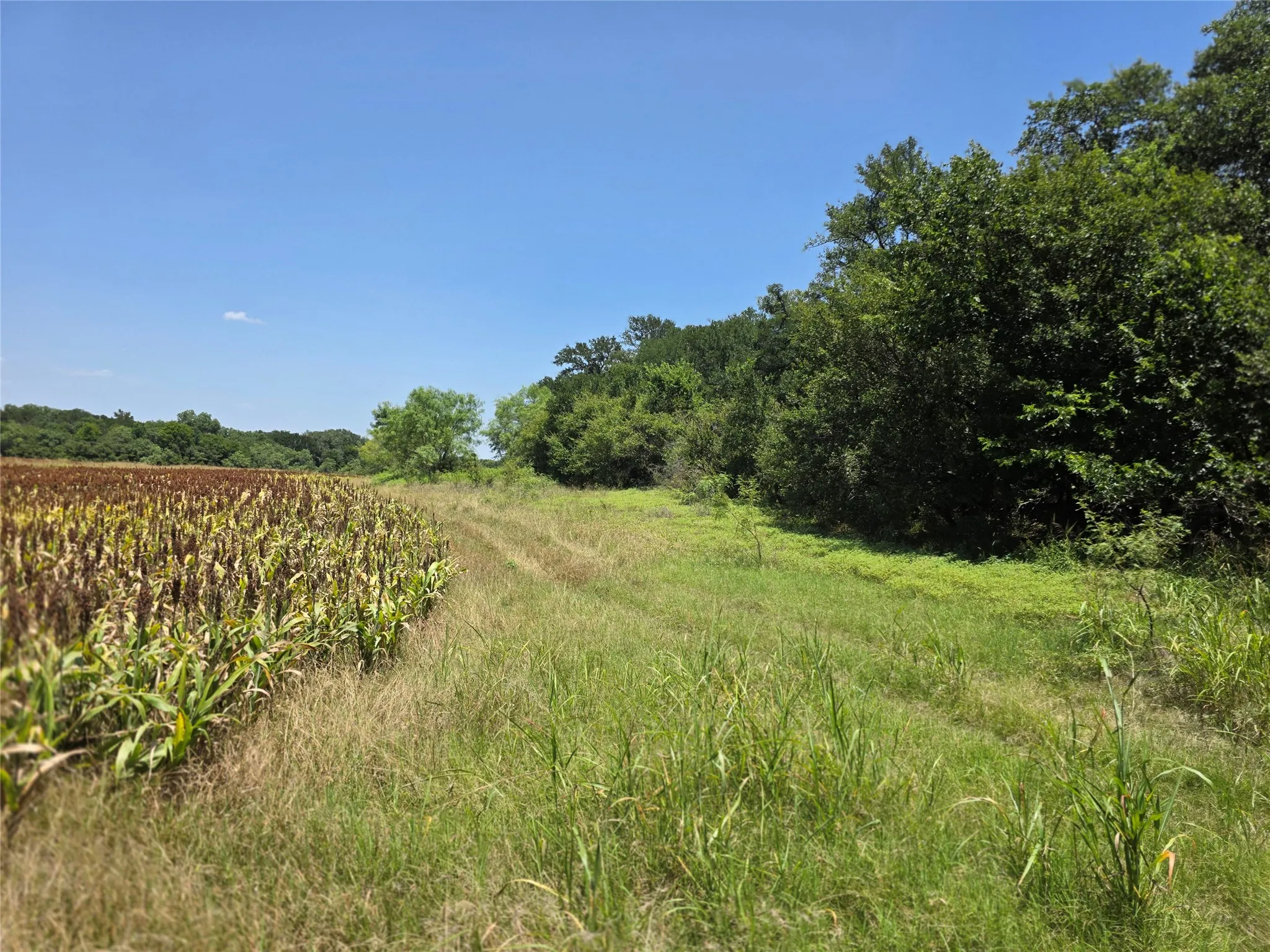 Ranch For Sale in Comanche County , 450 County Road 250, Gustine, Texas 76455, 0, 0, Garage spaces, 0 Sqft, built in 0, Price $674,685, mls#21349664, Real Estate Agent in Gustine, Homes For Sale in Comanche county, Homes For Sale in Gustine, Realtor in Gustine Texas, Real Estate Brokerage Independent Realty Texas, Luminita Cordes Realtor