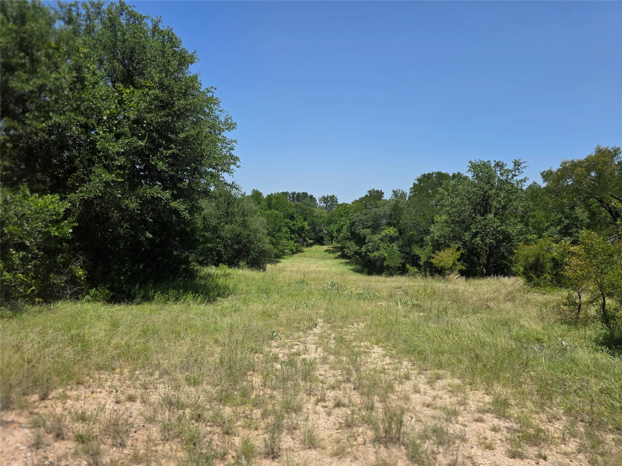 Ranch For Sale in Comanche County , 450 County Road 250, Gustine, Texas 76455, 0, 0, Garage spaces, 0 Sqft, built in 0, Price $674,685, mls#21349664, Real Estate Agent in Gustine, Homes For Sale in Comanche county, Homes For Sale in Gustine, Realtor in Gustine Texas, Real Estate Brokerage Independent Realty Texas, Luminita Cordes Realtor