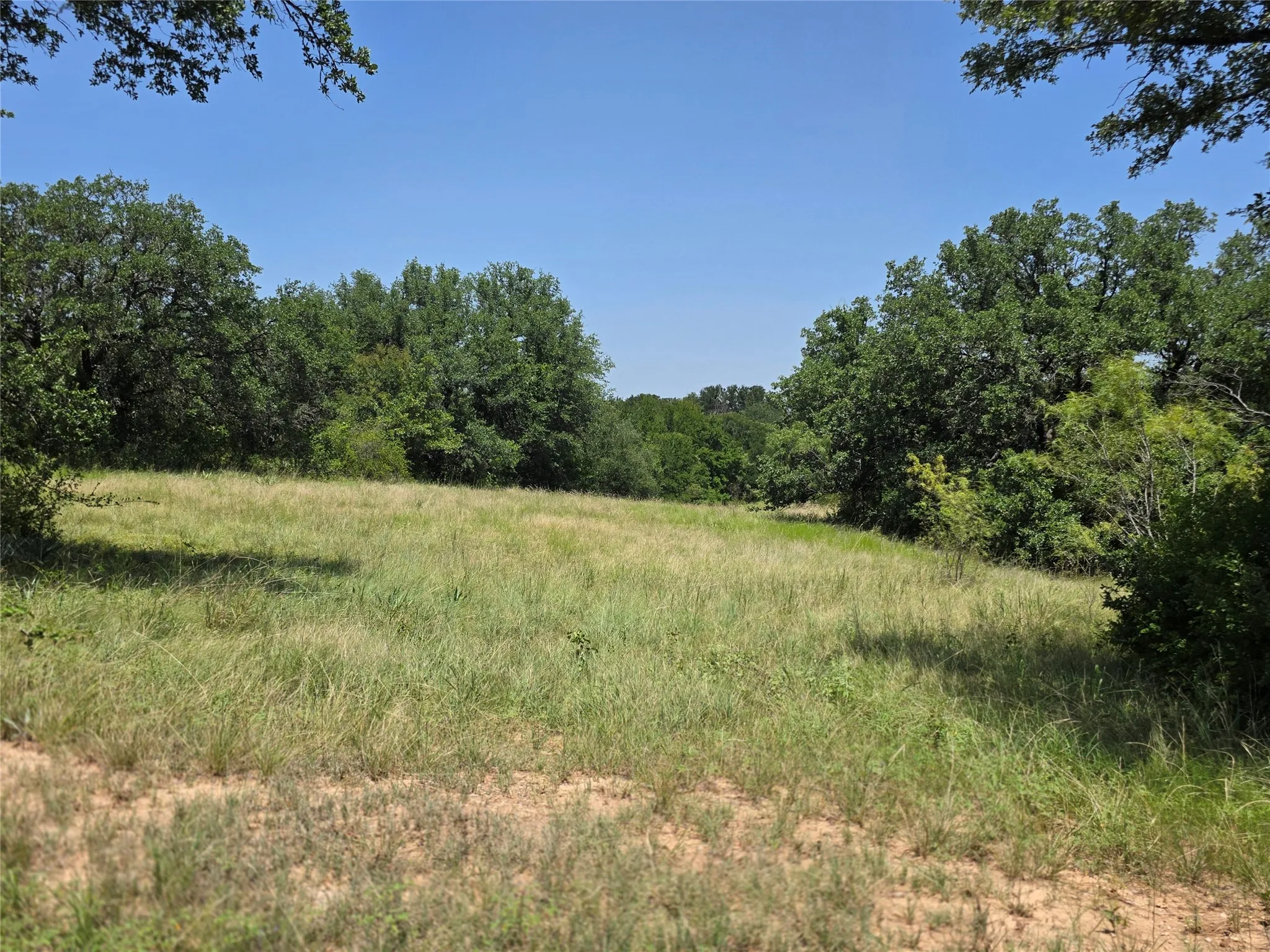 Ranch For Sale in Comanche County , 450 County Road 250, Gustine, Texas 76455, 0, 0, Garage spaces, 0 Sqft, built in 0, Price $674,685, mls#21349664, Real Estate Agent in Gustine, Homes For Sale in Comanche county, Homes For Sale in Gustine, Realtor in Gustine Texas, Real Estate Brokerage Independent Realty Texas, Luminita Cordes Realtor