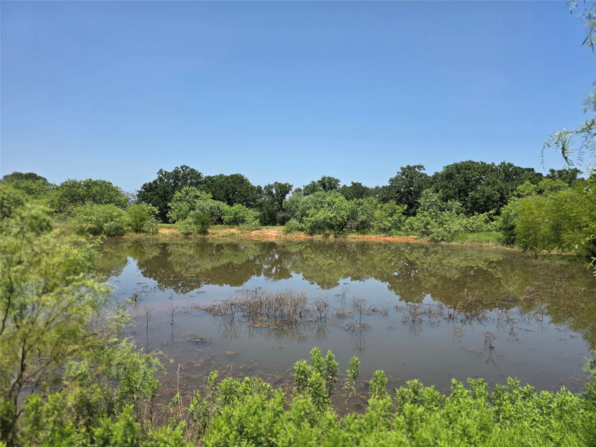 Ranch For Sale in Comanche County , 450 County Road 250, Gustine, Texas 76455, 0, 0, Garage spaces, 0 Sqft, built in 0, Price $674,685, mls#21349664, Real Estate Agent in Gustine, Homes For Sale in Comanche county, Homes For Sale in Gustine, Realtor in Gustine Texas, Real Estate Brokerage Independent Realty Texas, Luminita Cordes Realtor