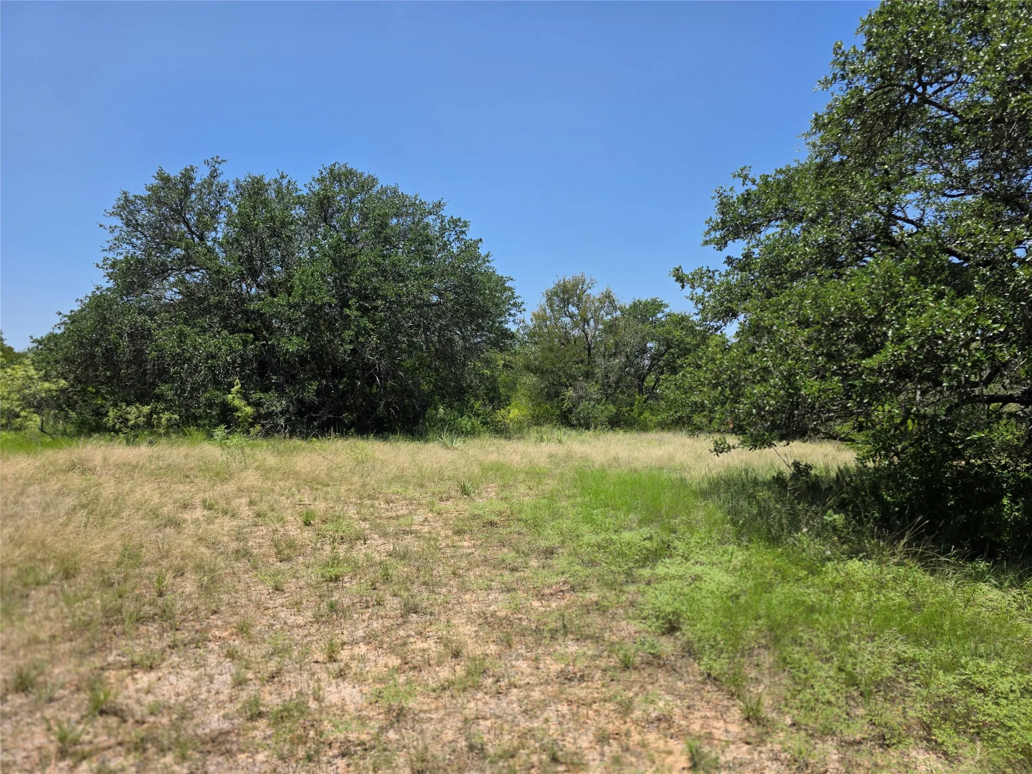 Ranch For Sale in Comanche County , 450 County Road 250, Gustine, Texas 76455, 0, 0, Garage spaces, 0 Sqft, built in 0, Price $674,685, mls#21349664, Real Estate Agent in Gustine, Homes For Sale in Comanche county, Homes For Sale in Gustine, Realtor in Gustine Texas, Real Estate Brokerage Independent Realty Texas, Luminita Cordes Realtor