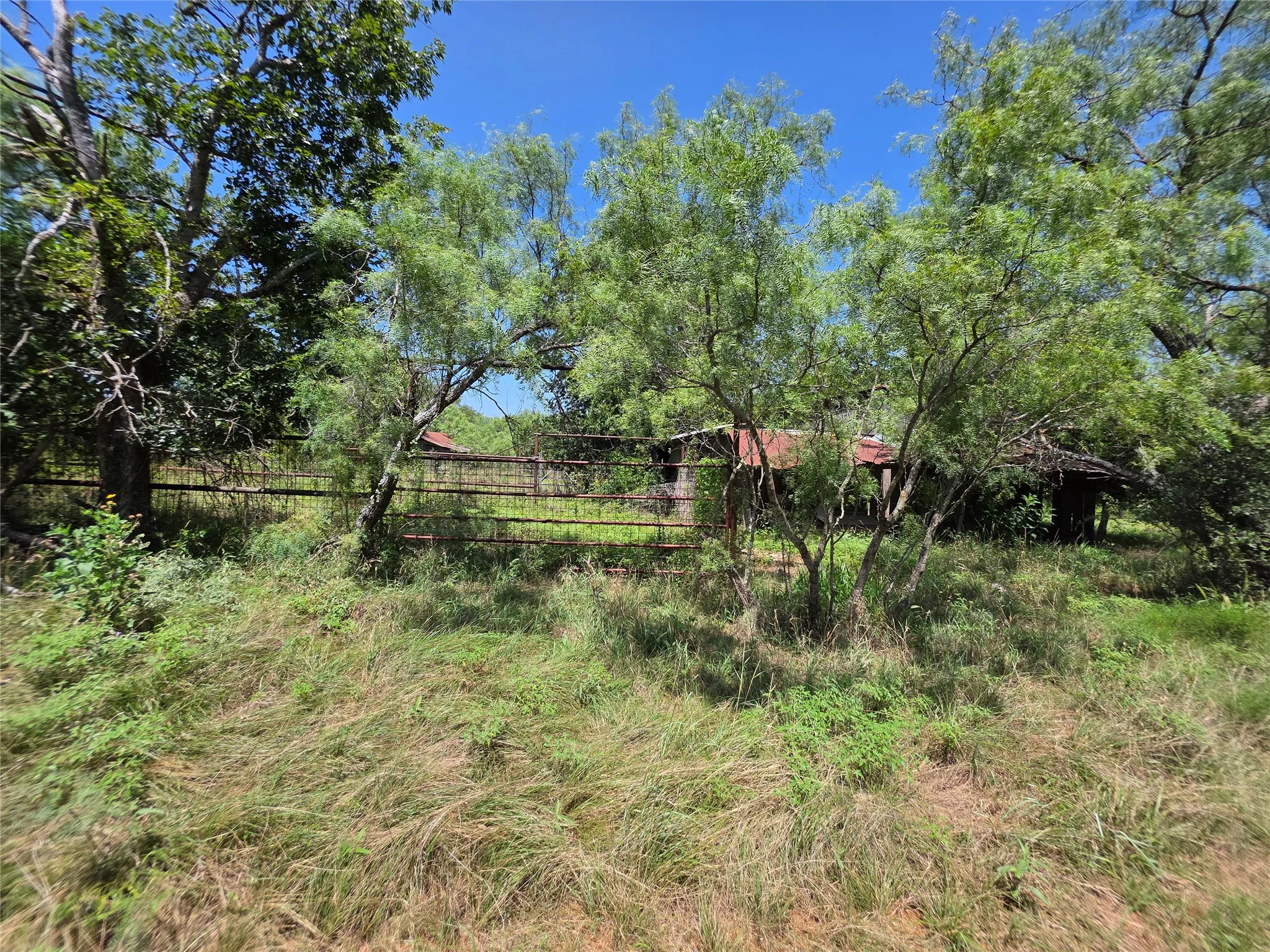 Ranch For Sale in Comanche County , 450 County Road 250, Gustine, Texas 76455, 0, 0, Garage spaces, 0 Sqft, built in 0, Price $674,685, mls#21349664, Real Estate Agent in Gustine, Homes For Sale in Comanche county, Homes For Sale in Gustine, Realtor in Gustine Texas, Real Estate Brokerage Independent Realty Texas, Luminita Cordes Realtor