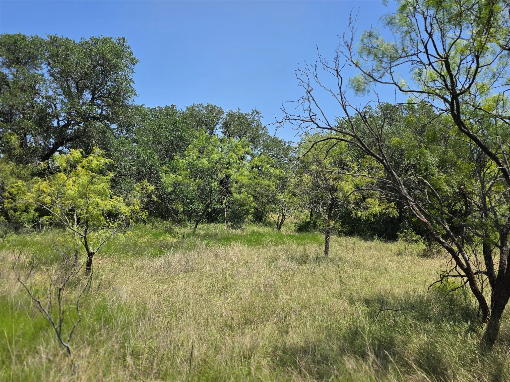 Ranch For Sale in Comanche County , 450 County Road 250, Gustine, Texas 76455, 0, 0, Garage spaces, 0 Sqft, built in 0, Price $674,685, mls#21349664, Real Estate Agent in Gustine, Homes For Sale in Comanche county, Homes For Sale in Gustine, Realtor in Gustine Texas, Real Estate Brokerage Independent Realty Texas, Luminita Cordes Realtor