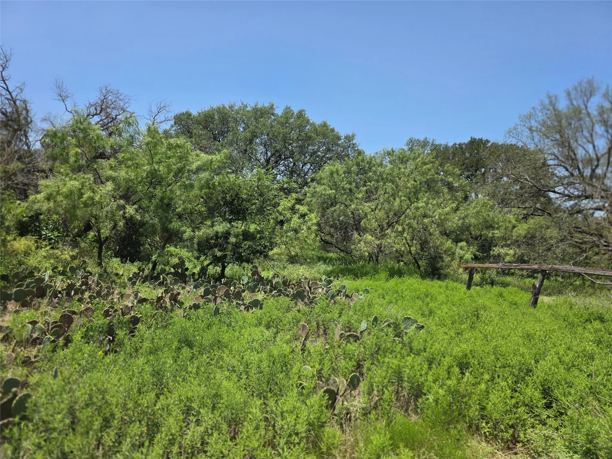 Ranch For Sale in Comanche County , 450 County Road 250, Gustine, Texas 76455, 0, 0, Garage spaces, 0 Sqft, built in 0, Price $674,685, mls#21349664, Real Estate Agent in Gustine, Homes For Sale in Comanche county, Homes For Sale in Gustine, Realtor in Gustine Texas, Real Estate Brokerage Independent Realty Texas, Luminita Cordes Realtor