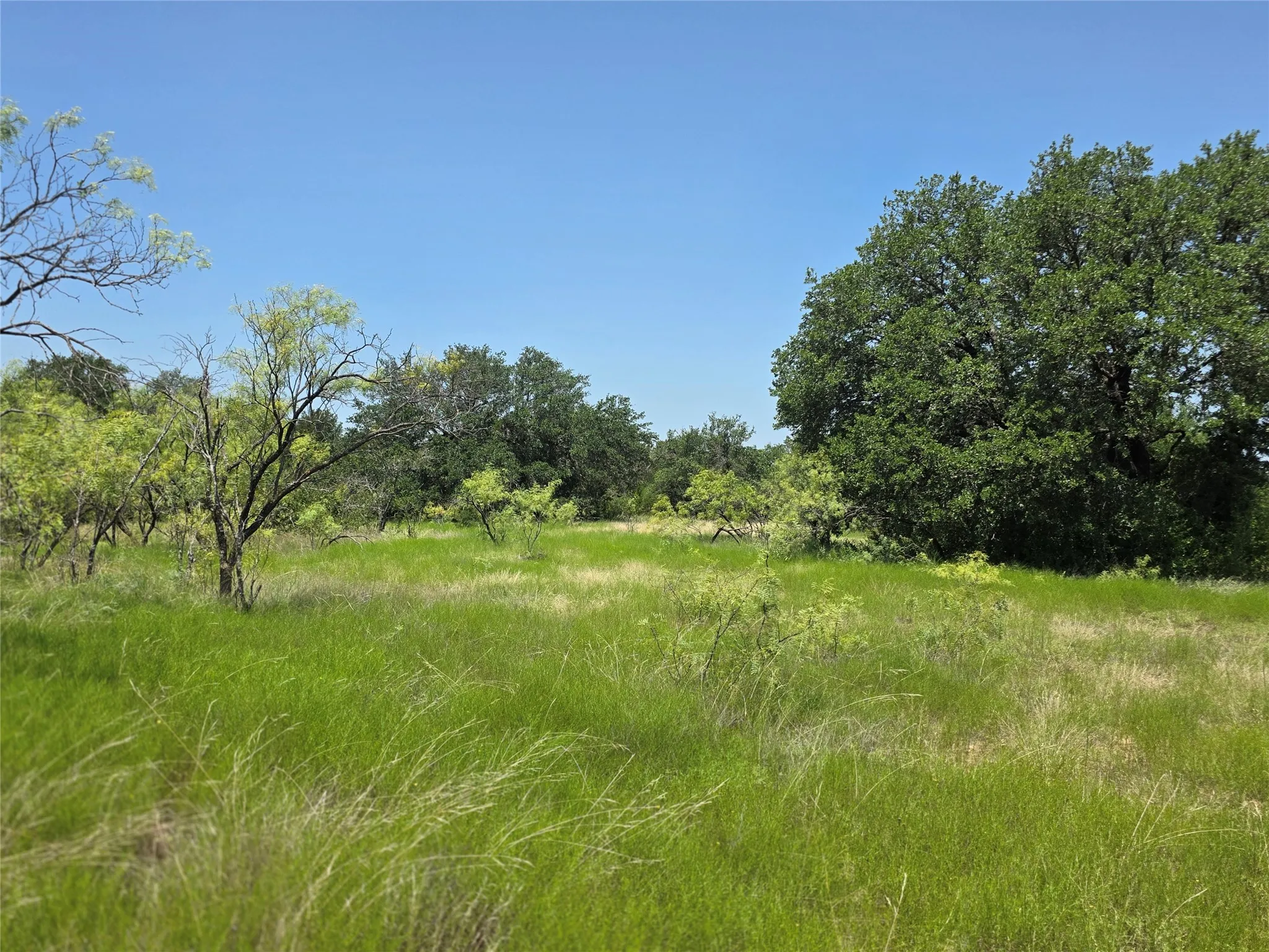 Ranch For Sale in Comanche County , 450 County Road 250, Gustine, Texas 76455, 0, 0, Garage spaces, 0 Sqft, built in 0, Price $674,685, mls#21349664, Real Estate Agent in Gustine, Homes For Sale in Comanche county, Homes For Sale in Gustine, Realtor in Gustine Texas, Real Estate Brokerage Independent Realty Texas, Luminita Cordes Realtor