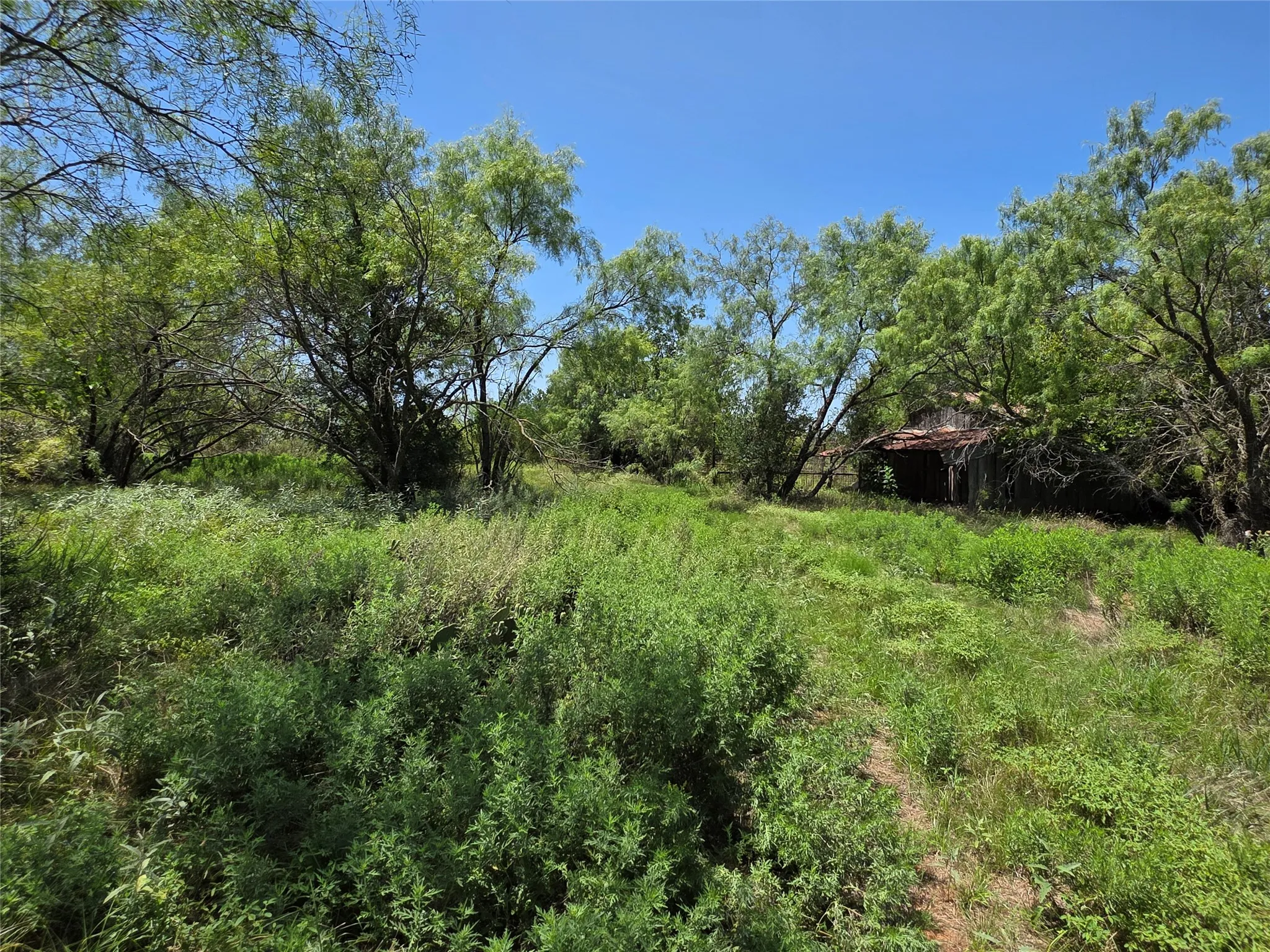 Ranch For Sale in Comanche County , 450 County Road 250, Gustine, Texas 76455, 0, 0, Garage spaces, 0 Sqft, built in 0, Price $674,685, mls#21349664, Real Estate Agent in Gustine, Homes For Sale in Comanche county, Homes For Sale in Gustine, Realtor in Gustine Texas, Real Estate Brokerage Independent Realty Texas, Luminita Cordes Realtor