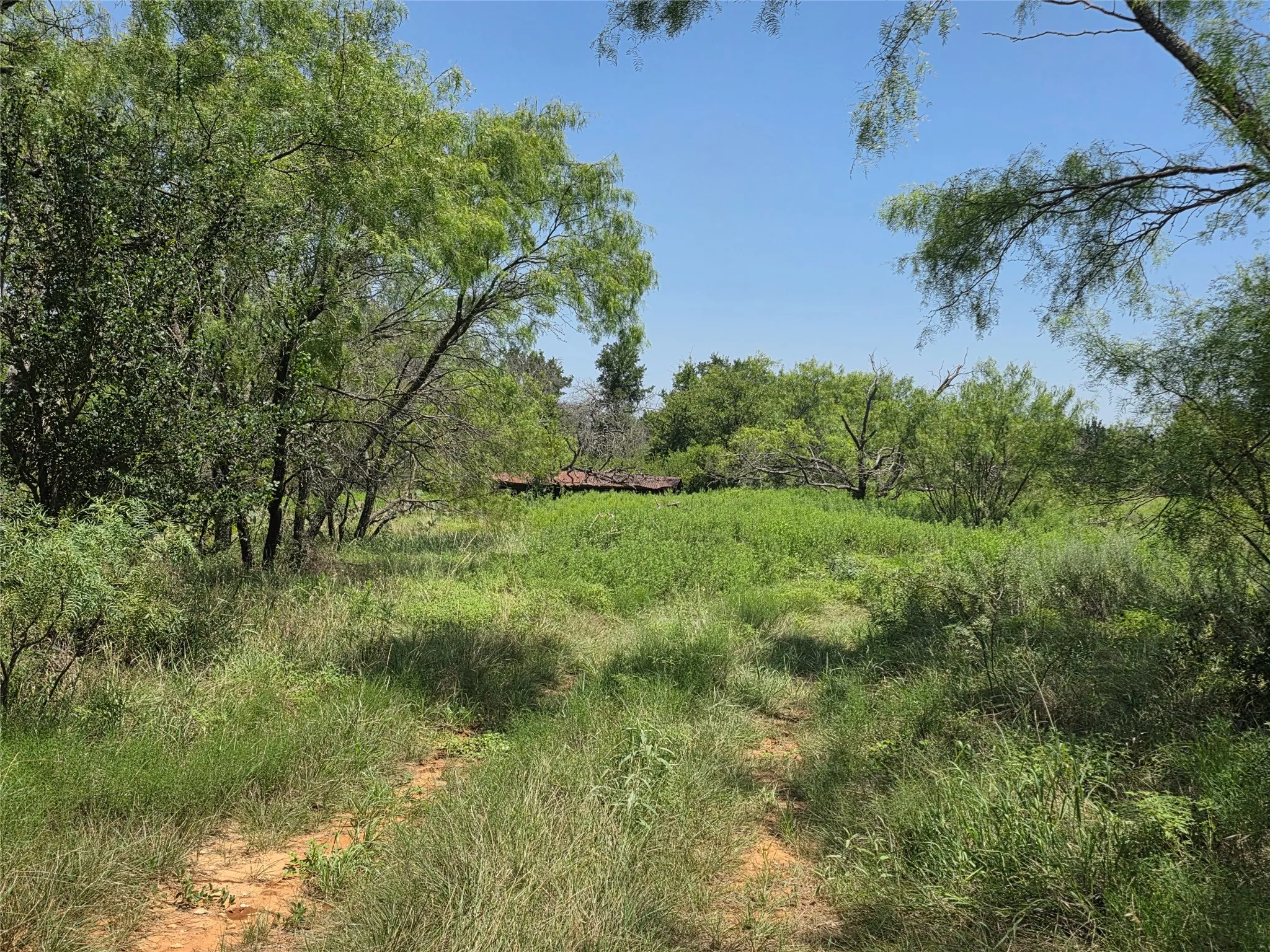 Ranch For Sale in Comanche County , 450 County Road 250, Gustine, Texas 76455, 0, 0, Garage spaces, 0 Sqft, built in 0, Price $674,685, mls#21349664, Real Estate Agent in Gustine, Homes For Sale in Comanche county, Homes For Sale in Gustine, Realtor in Gustine Texas, Real Estate Brokerage Independent Realty Texas, Luminita Cordes Realtor