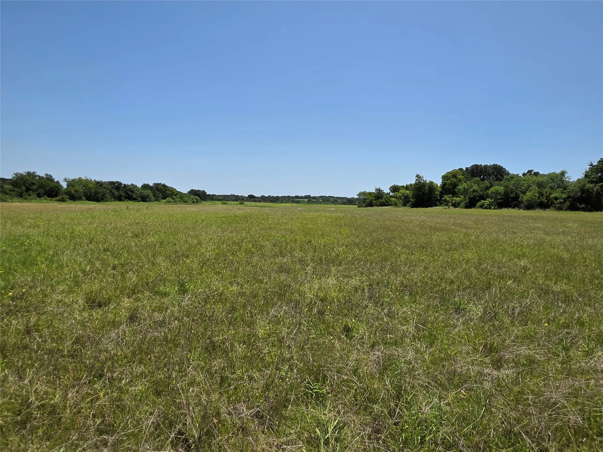 Ranch For Sale in Comanche County , 450 County Road 250, Gustine, Texas 76455, 0, 0, Garage spaces, 0 Sqft, built in 0, Price $674,685, mls#21349664, Real Estate Agent in Gustine, Homes For Sale in Comanche county, Homes For Sale in Gustine, Realtor in Gustine Texas, Real Estate Brokerage Independent Realty Texas, Luminita Cordes Realtor