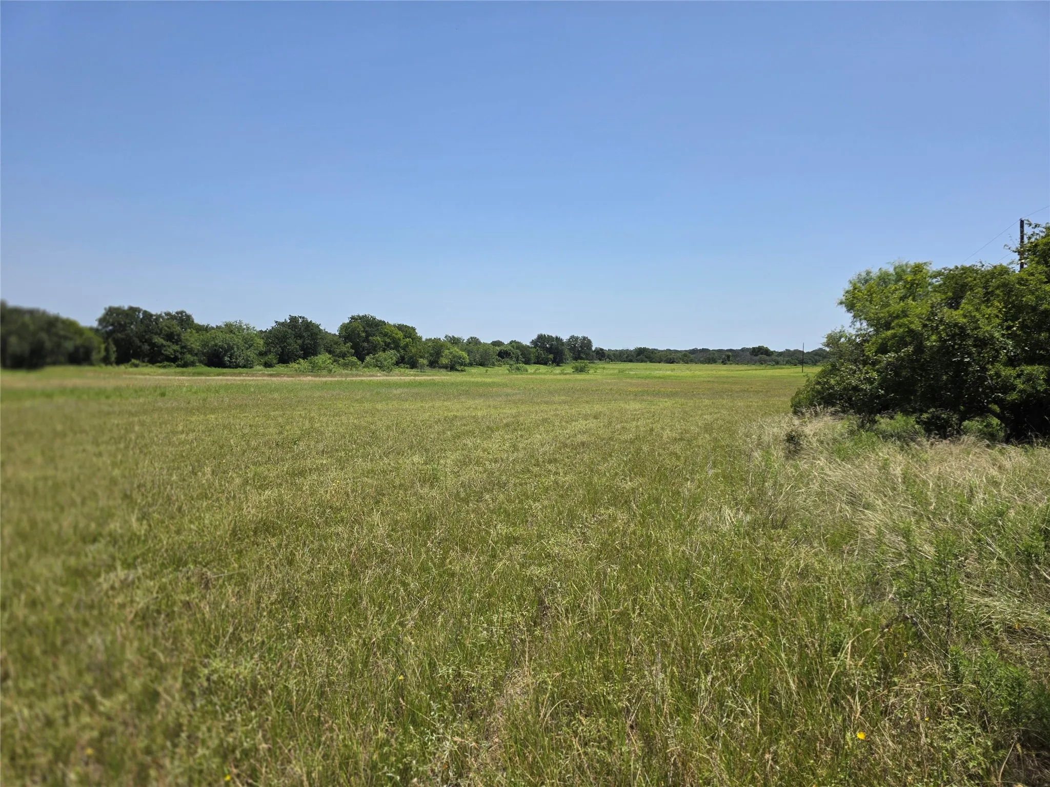 Ranch For Sale in Comanche County , 450 County Road 250, Gustine, Texas 76455, 0, 0, Garage spaces, 0 Sqft, built in 0, Price $674,685, mls#21349664, Real Estate Agent in Gustine, Homes For Sale in Comanche county, Homes For Sale in Gustine, Realtor in Gustine Texas, Real Estate Brokerage Independent Realty Texas, Luminita Cordes Realtor