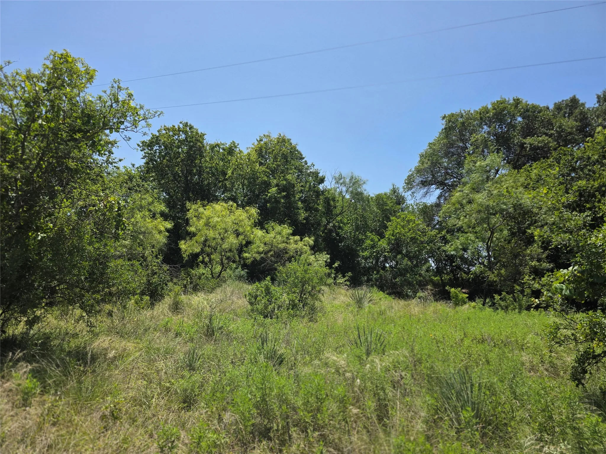 Ranch For Sale in Comanche County , 450 County Road 250, Gustine, Texas 76455, 0, 0, Garage spaces, 0 Sqft, built in 0, Price $674,685, mls#21349664, Real Estate Agent in Gustine, Homes For Sale in Comanche county, Homes For Sale in Gustine, Realtor in Gustine Texas, Real Estate Brokerage Independent Realty Texas, Luminita Cordes Realtor