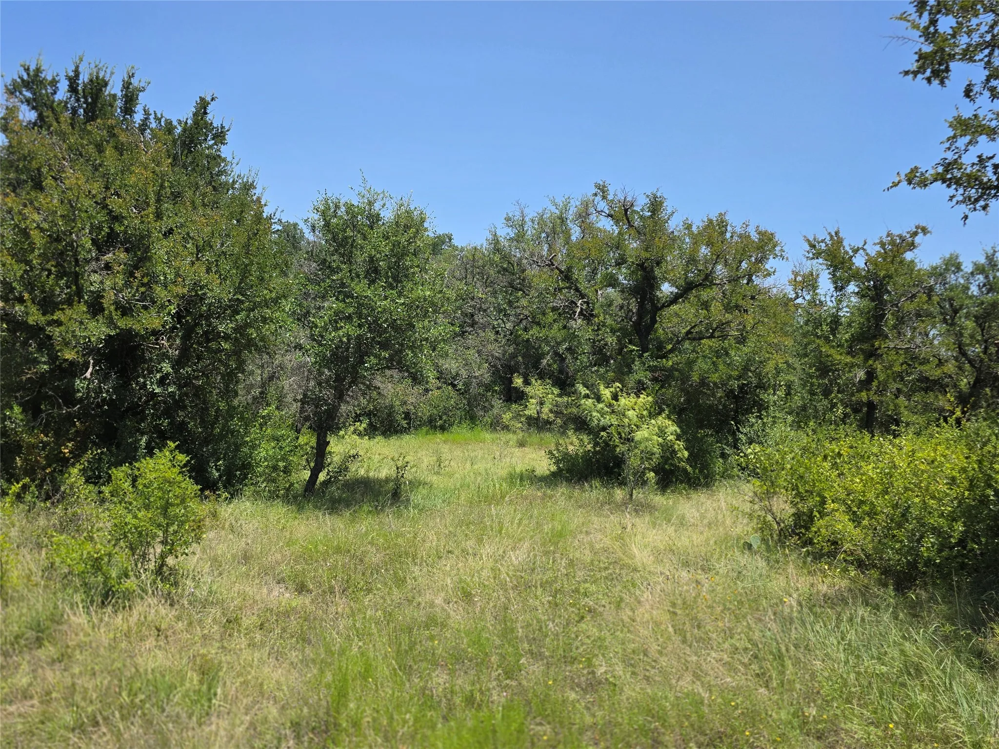 Ranch For Sale in Comanche County , 450 County Road 250, Gustine, Texas 76455, 0, 0, Garage spaces, 0 Sqft, built in 0, Price $674,685, mls#21349664, Real Estate Agent in Gustine, Homes For Sale in Comanche county, Homes For Sale in Gustine, Realtor in Gustine Texas, Real Estate Brokerage Independent Realty Texas, Luminita Cordes Realtor