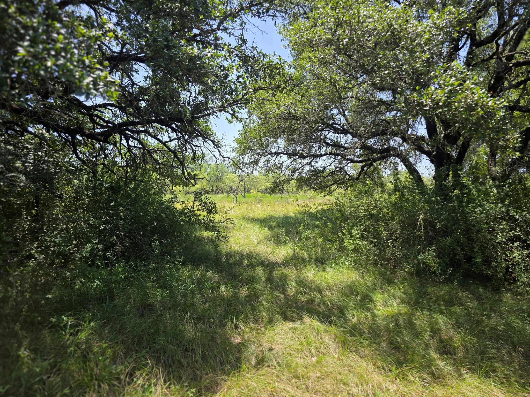 Ranch For Sale in Comanche County , 450 County Road 250, Gustine, Texas 76455, 0, 0, Garage spaces, 0 Sqft, built in 0, Price $674,685, mls#21349664, Real Estate Agent in Gustine, Homes For Sale in Comanche county, Homes For Sale in Gustine, Realtor in Gustine Texas, Real Estate Brokerage Independent Realty Texas, Luminita Cordes Realtor