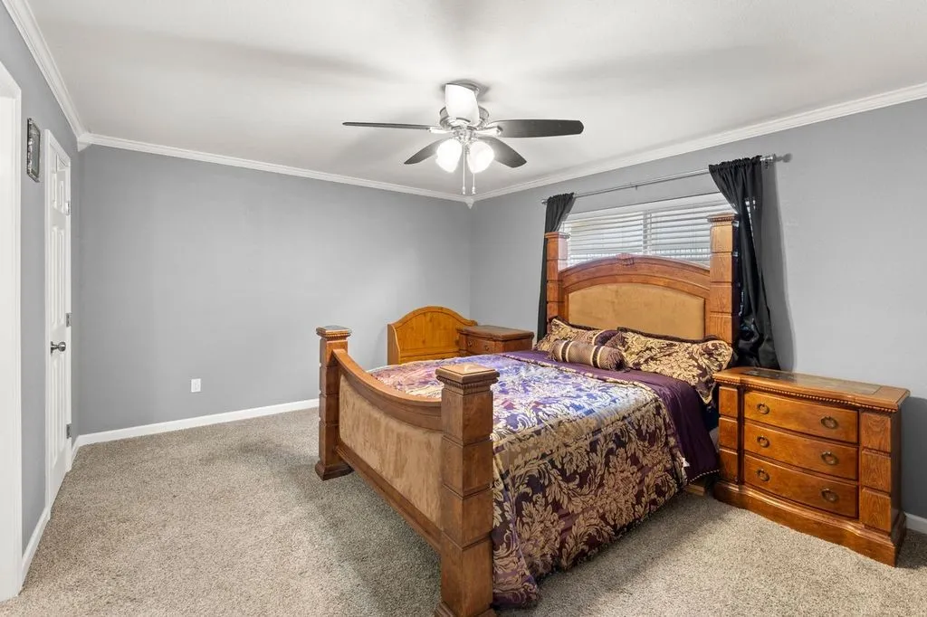 Room featuring wall-to-wall carpeting, light gray walls, and white crown molding