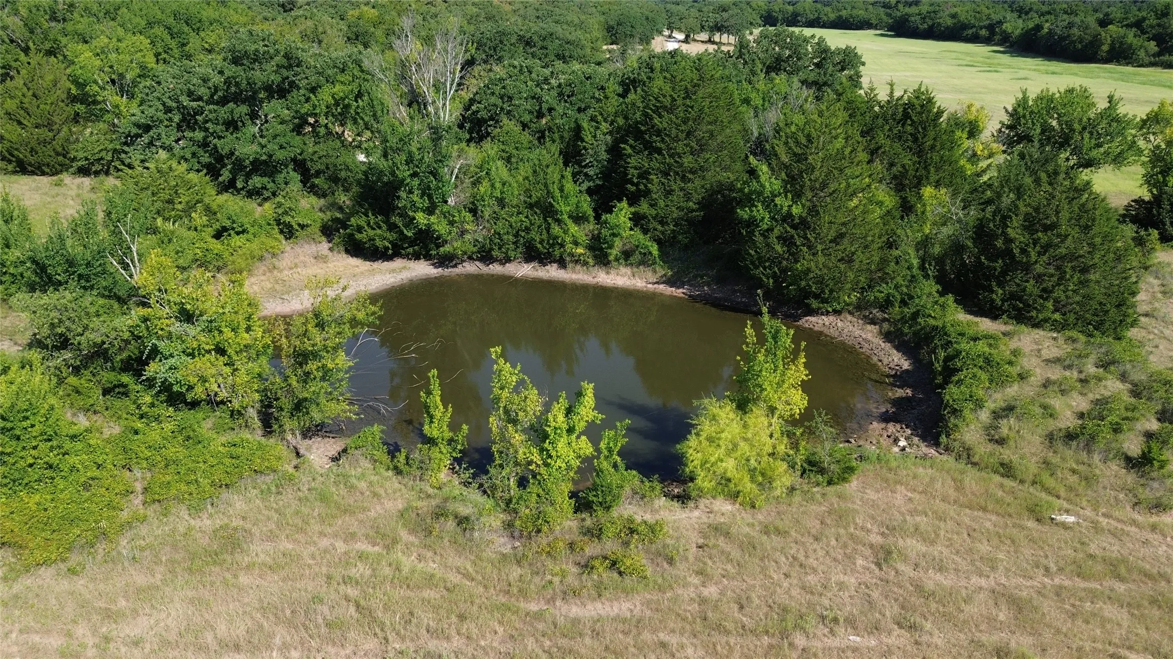 Main pond of two.