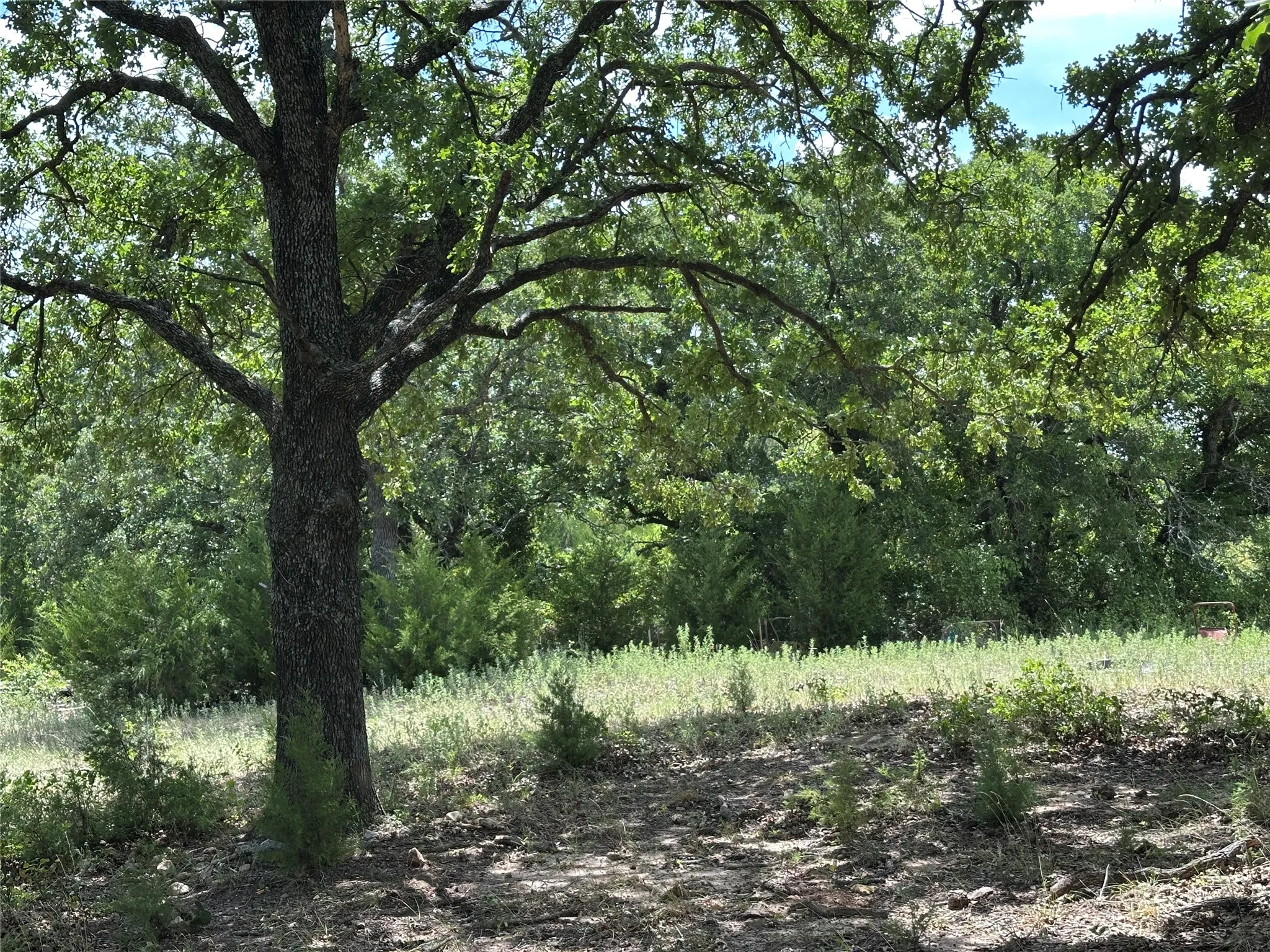 Improved Land For Sale in Montague County , Tract 3 Well Service Road, Bowie, Texas 76230, 0, 0, Garage spaces, 0 Sqft, built in 0, mls#21349683, Real Estate Agent in Bowie, Homes For Sale in Montague county, Homes For Sale in Bowie, Realtor in Bowie Texas, Real Estate Brokerage Independent Realty Texas, Luminita Cordes Realtor