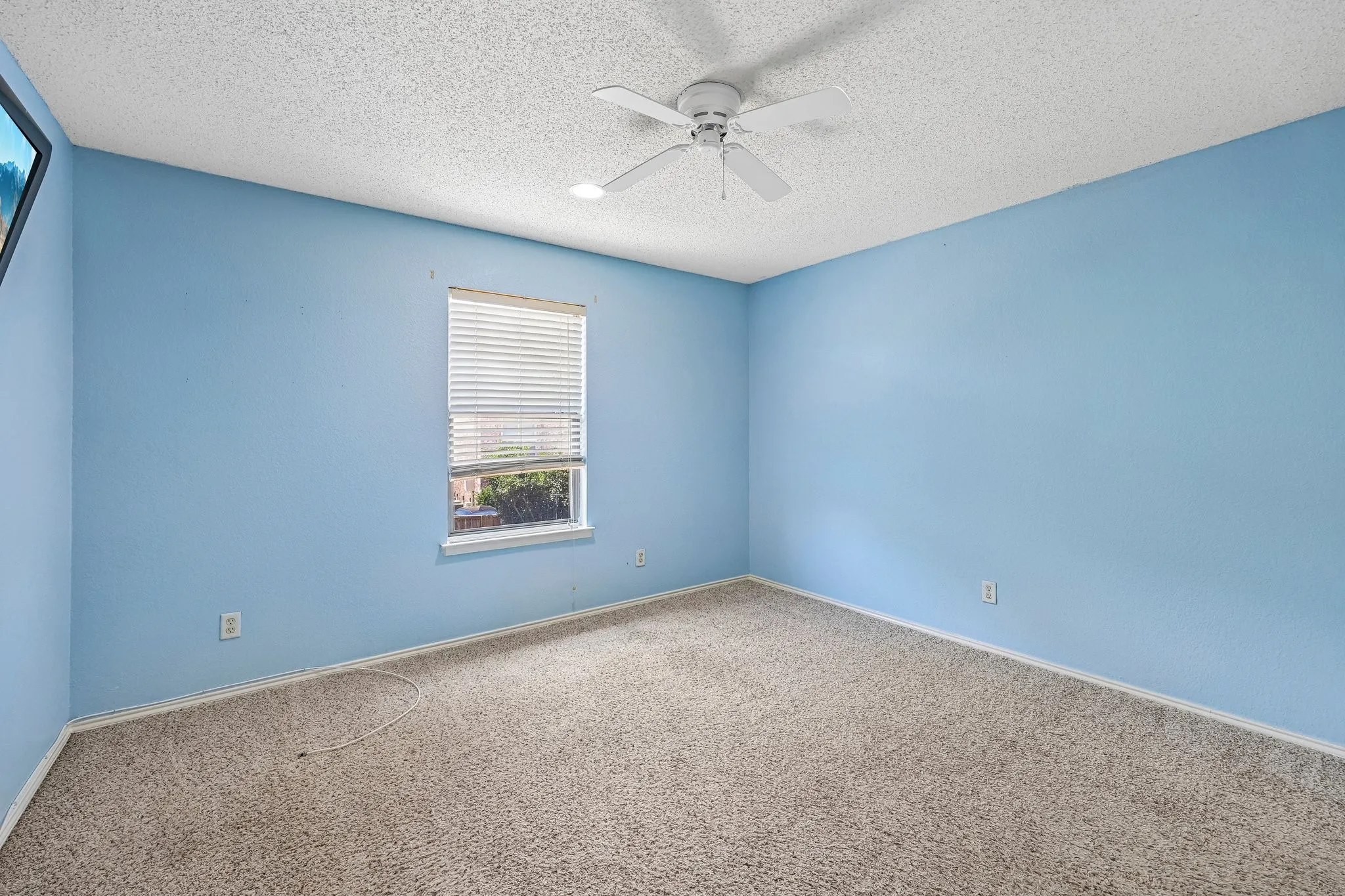 Spacious bedroom featuring soft blue wall finishes, neutral carpet flooring, a ceiling fan with integrated lighting, and natural light from a horizontal slider window with blinds